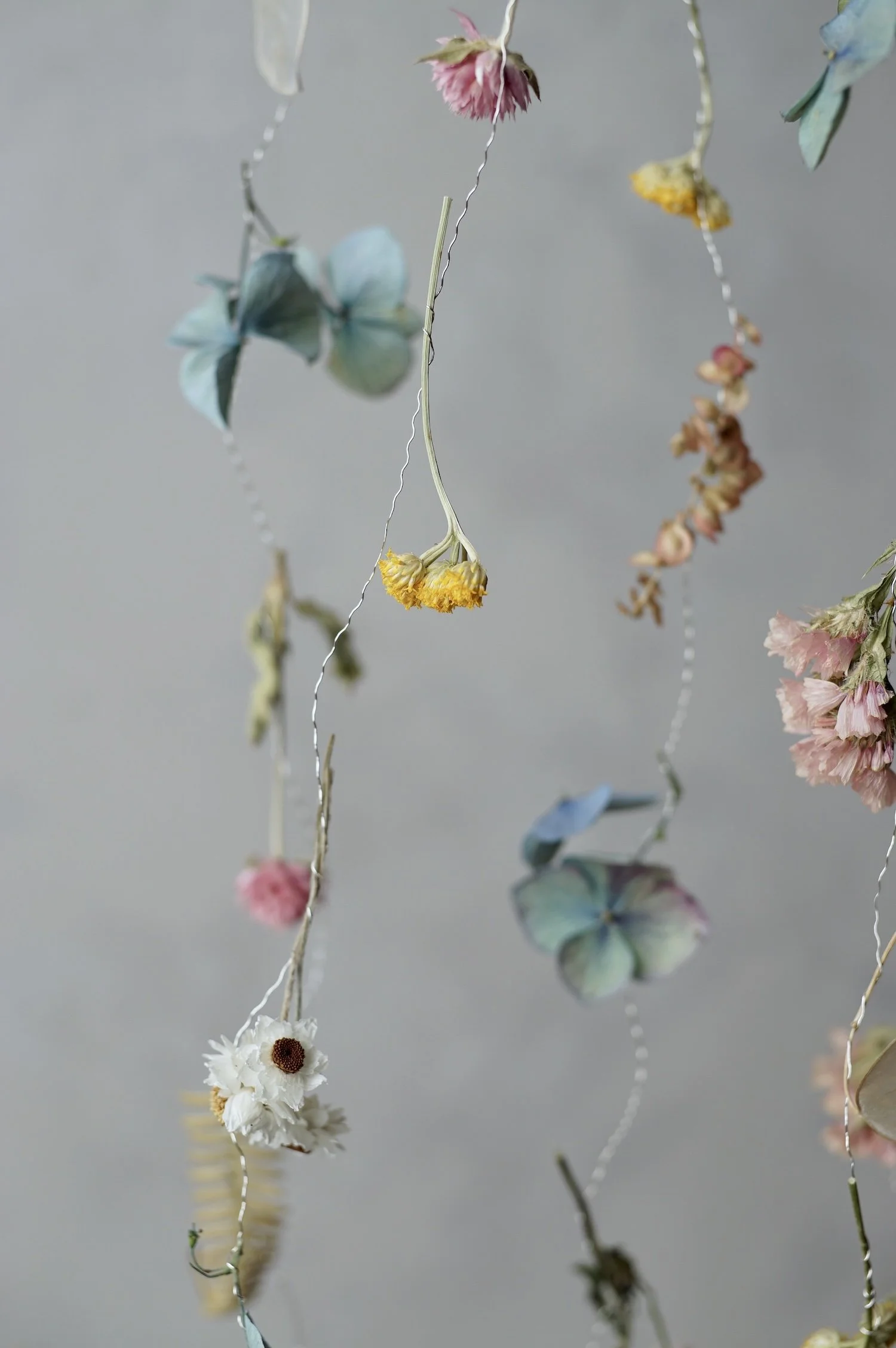 Colourful dried flowers suspended in the air by fine silver wire