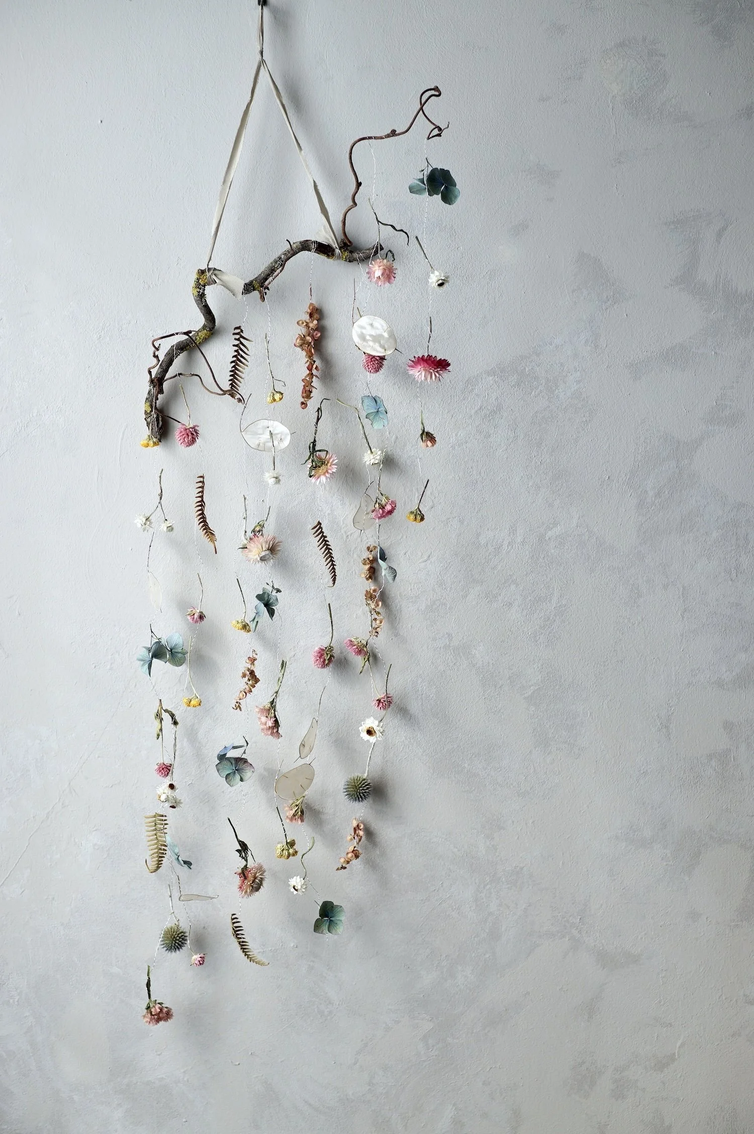 Colourful dried flowers and small fern leaves suspended from a curly twig by fine silver wire