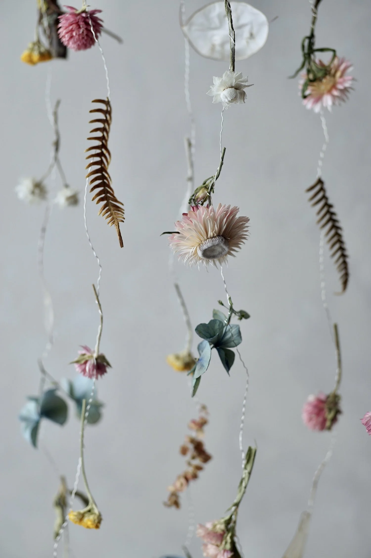 Colourful dried flowers and small fern leaves suspended in the air by fine silver wire