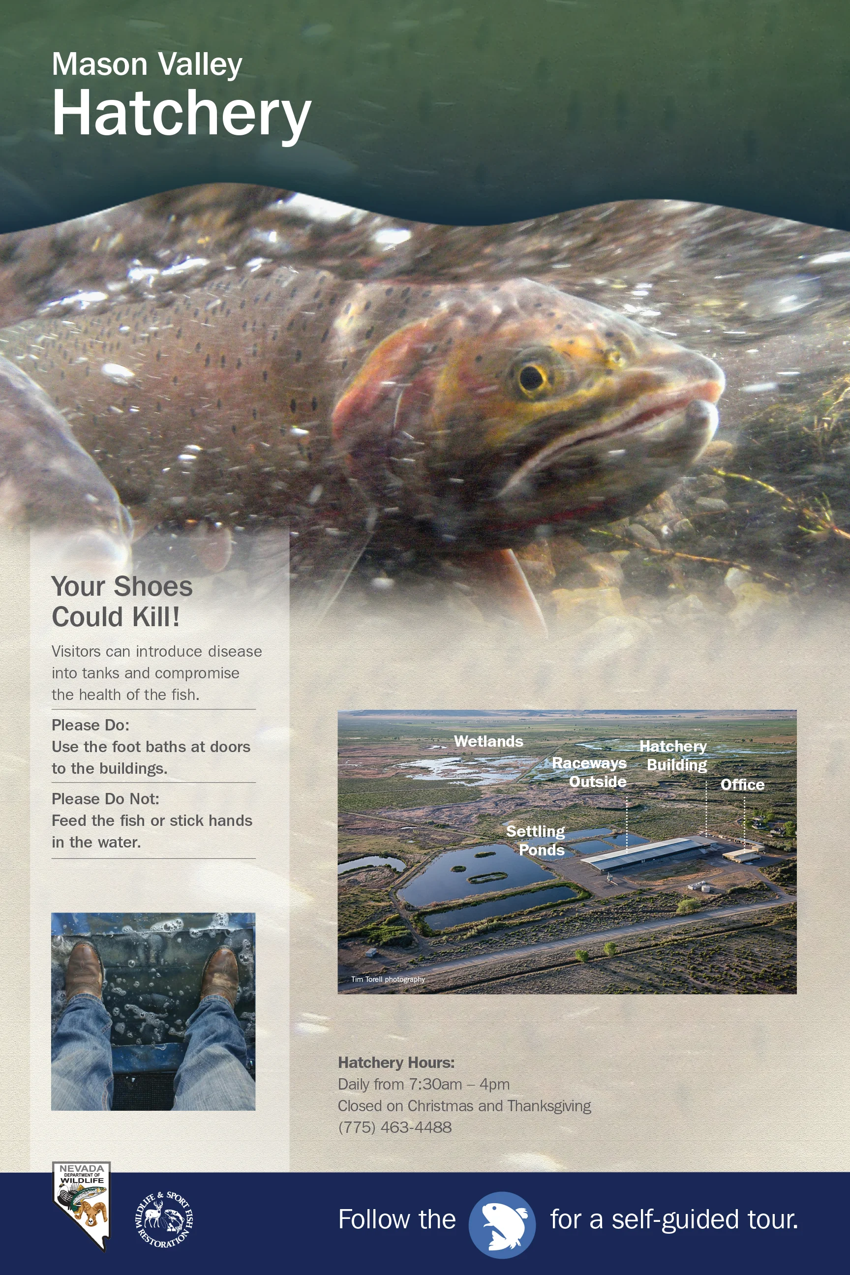 NDOW_MasonValleyHatchery_Welcome.jpg