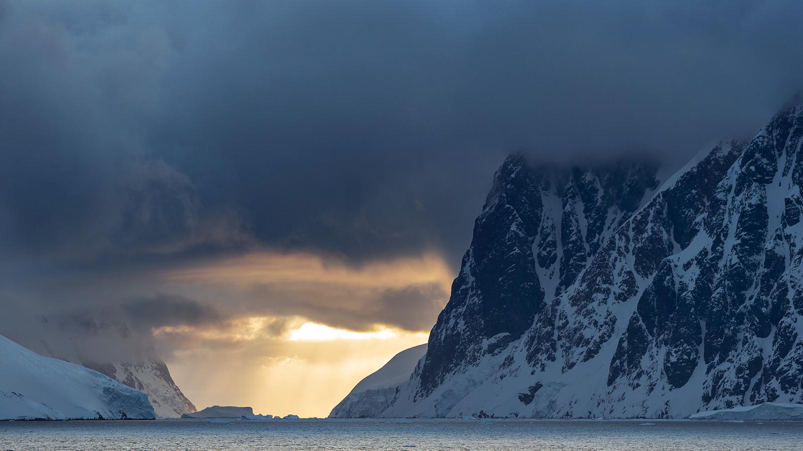 Photograph by Camille Seaman