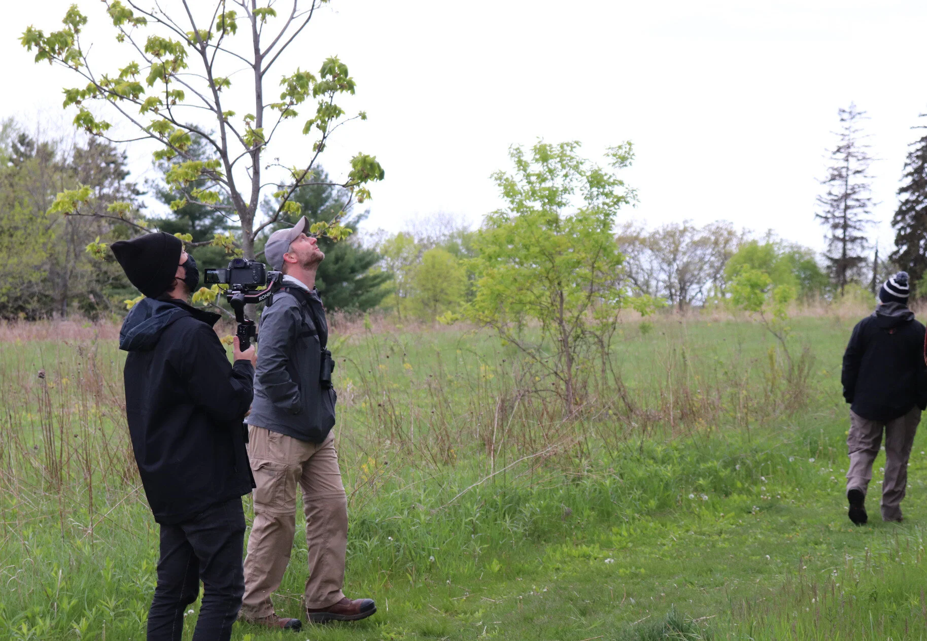 Birding!