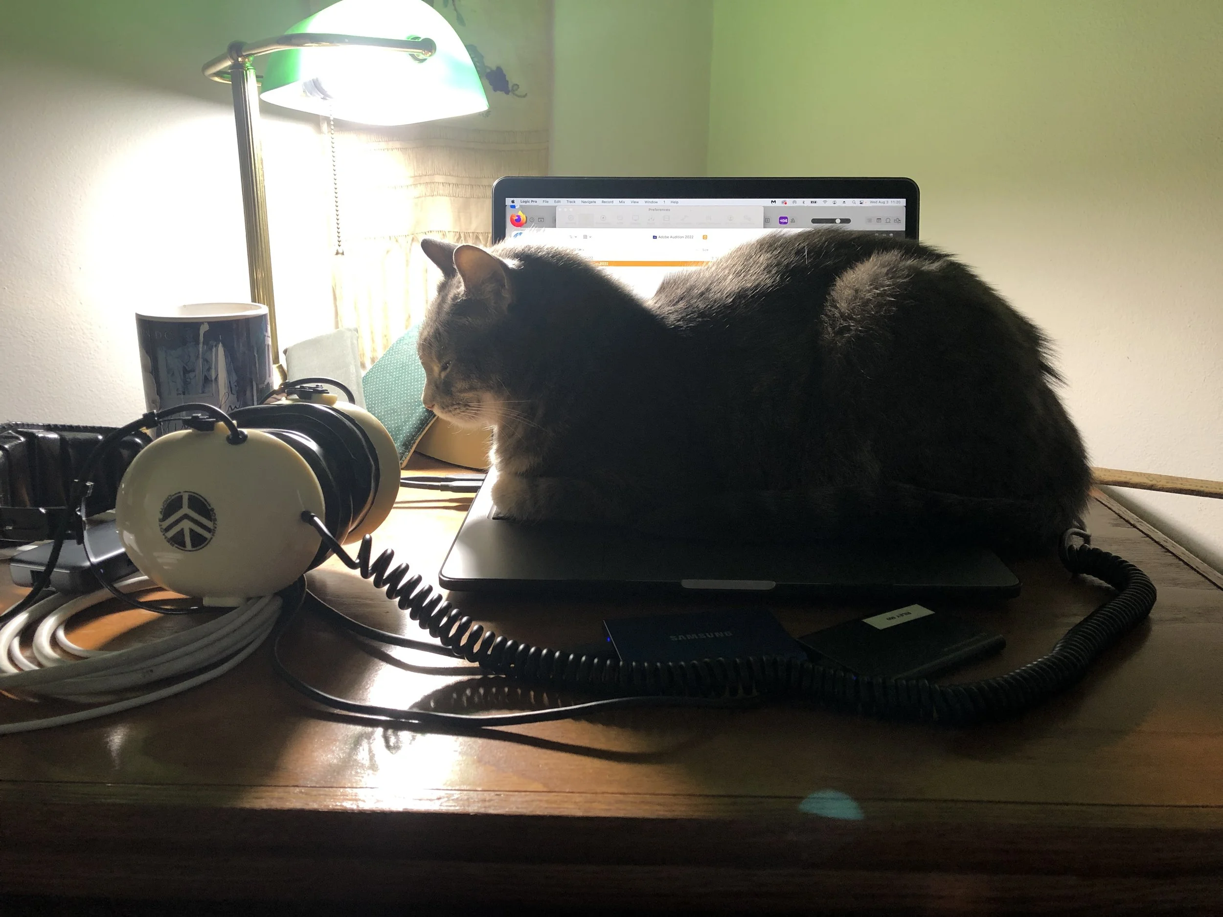 Help comes from surprising sources!