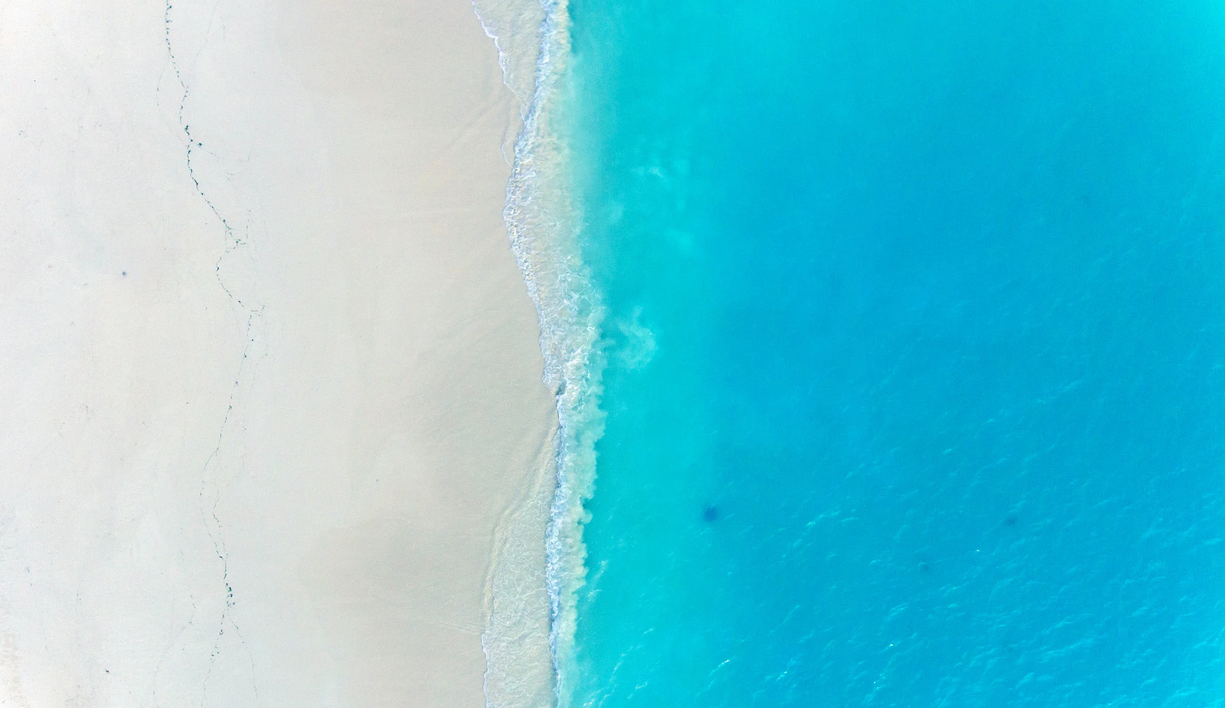 Shore.jpg