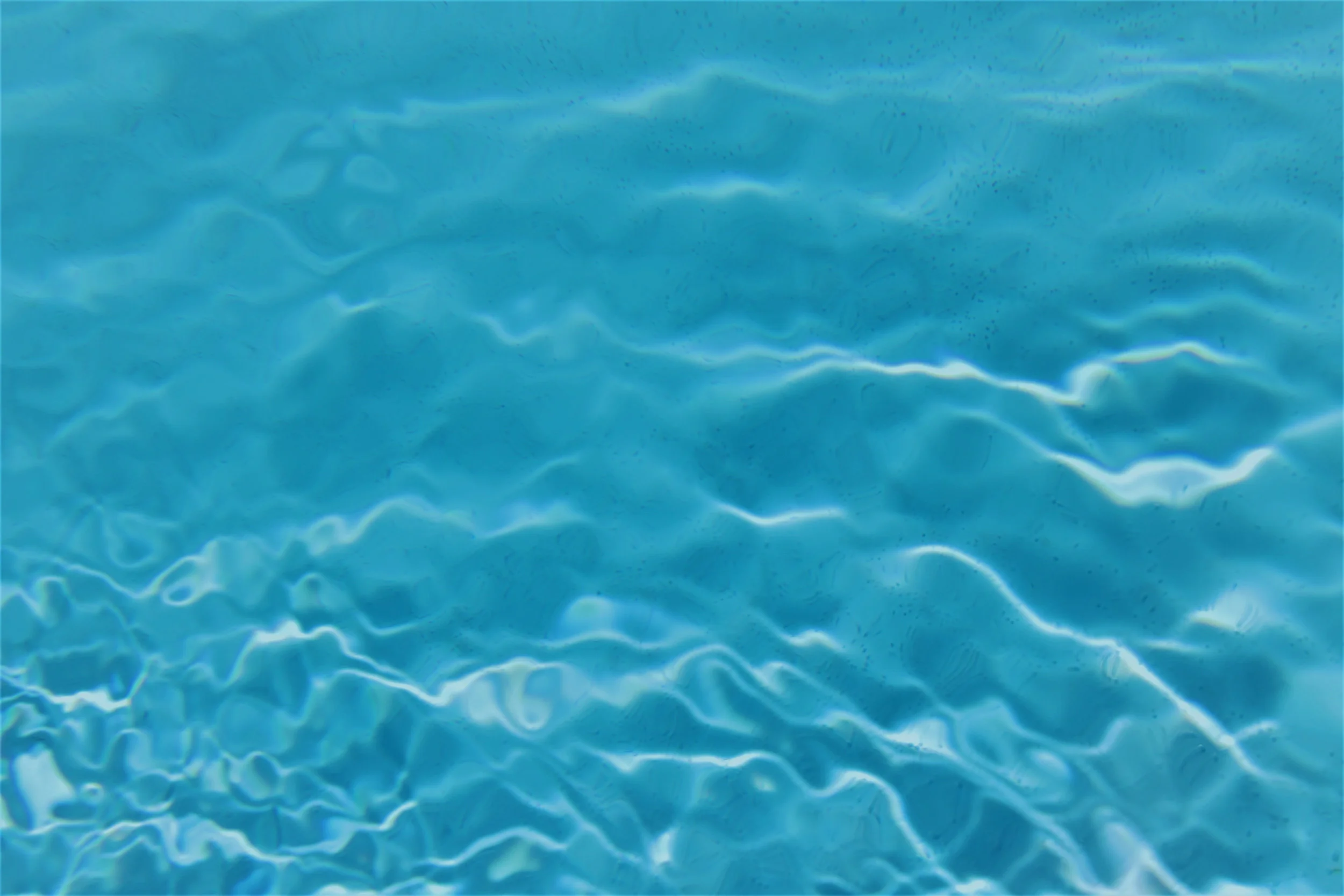 pool.jpg