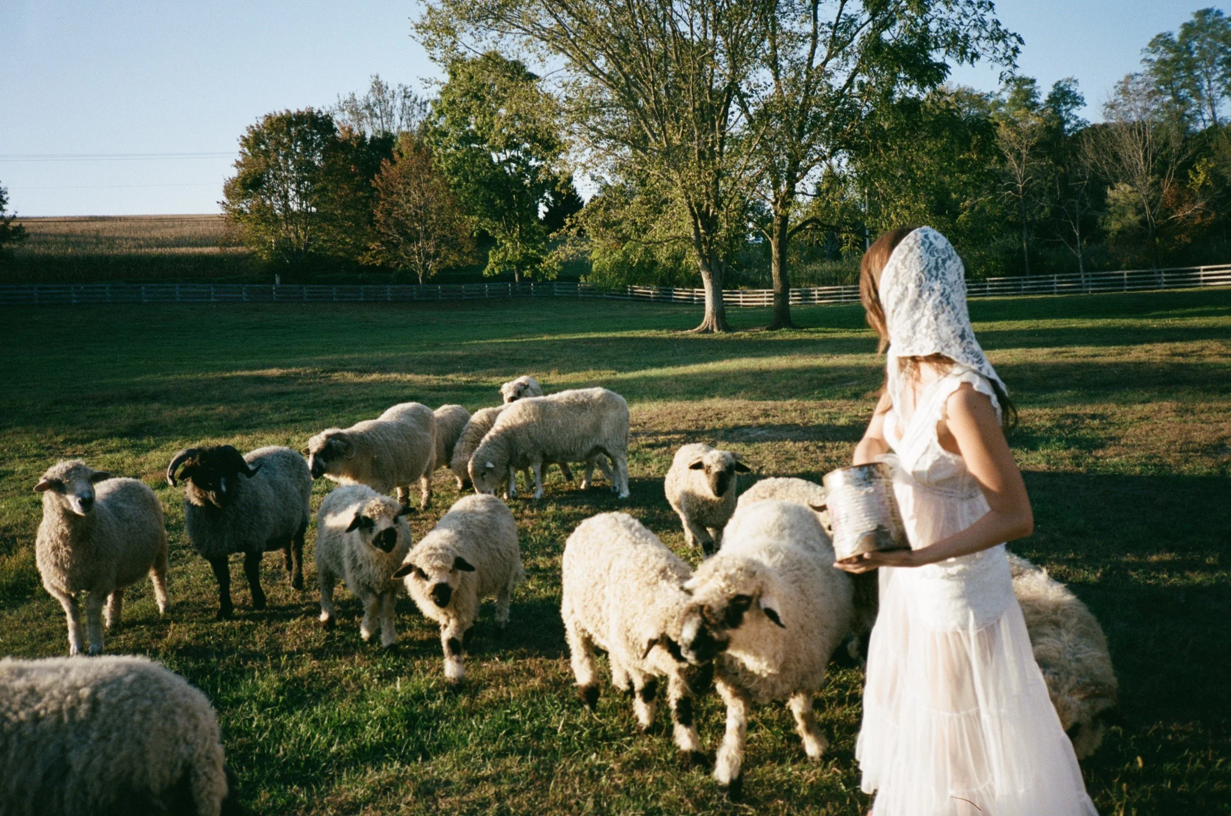 Tim Grupp, Juliet Ivy, Upstate NY20251008_0902.jpg