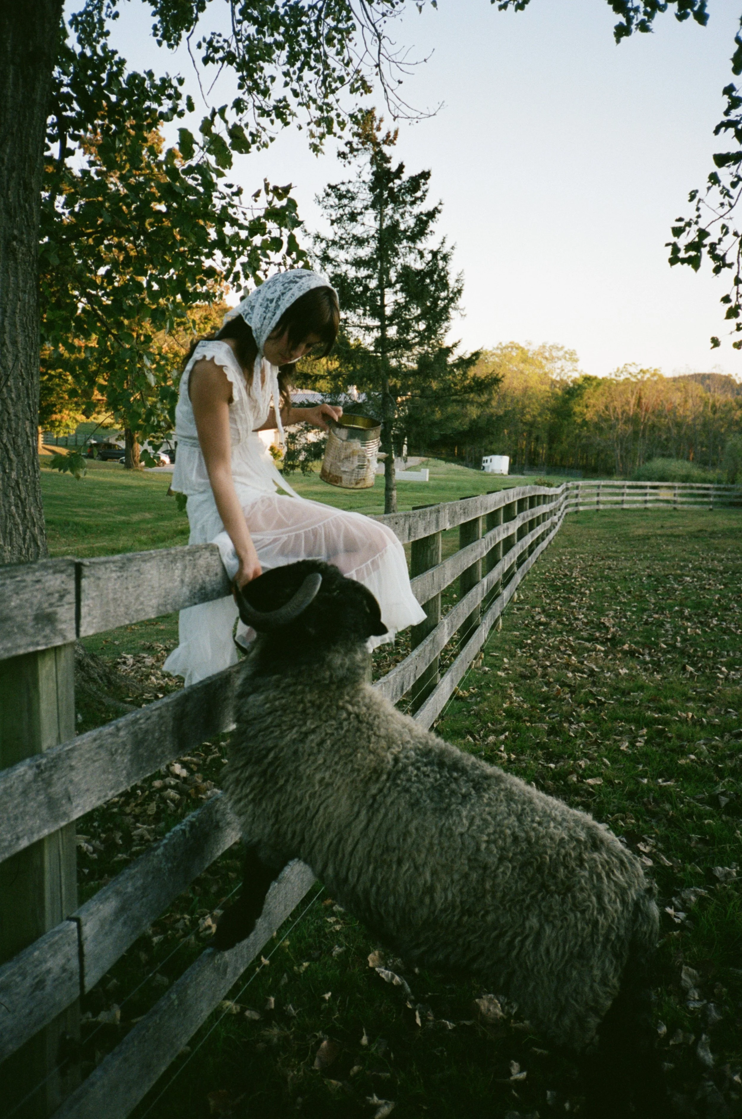 Tim Grupp, Juliet Ivy, Upstate NY20251008_0953.jpg