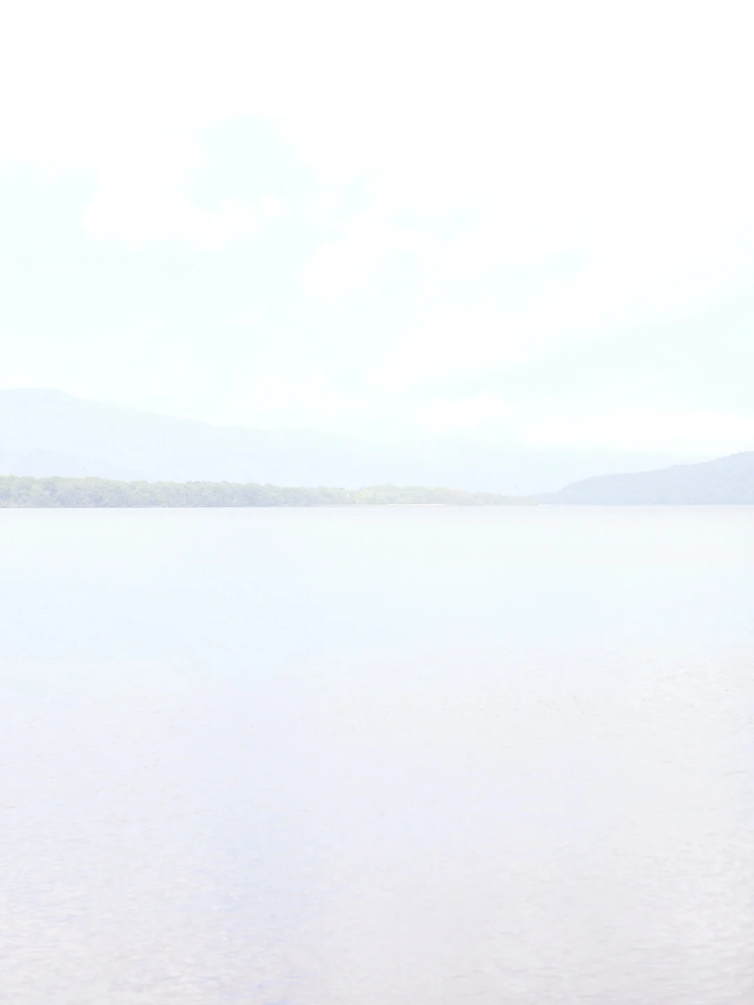 cut07_077.jpg