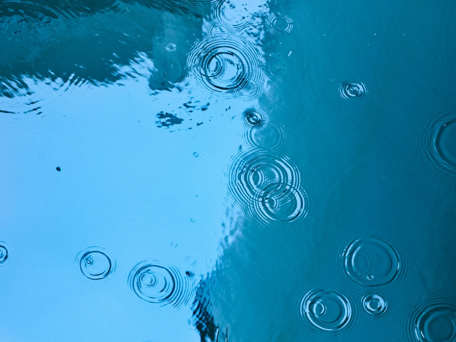 journal vol.025 Between Showers