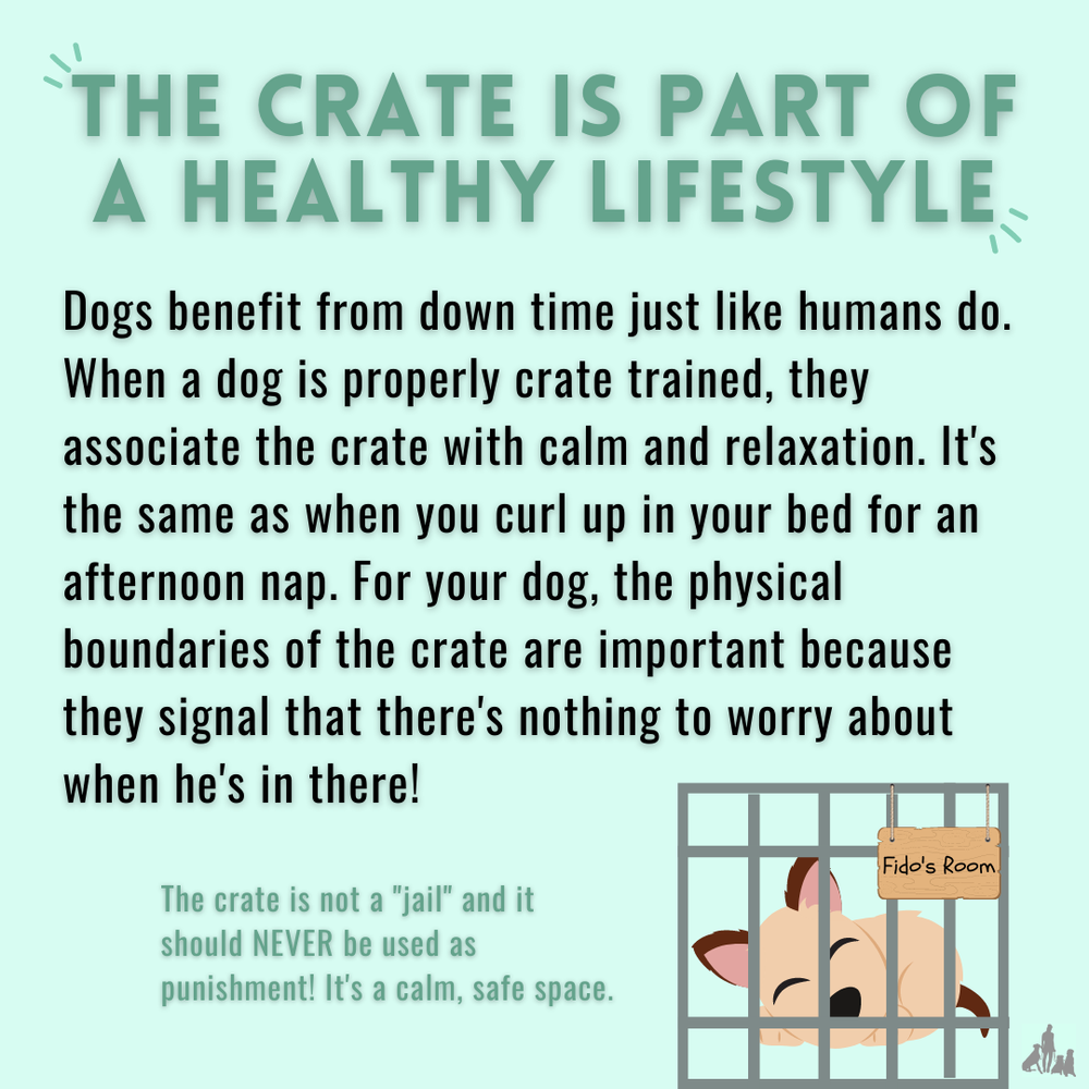 Tips for Crate Training a Puppy: Essential Steps for Success
