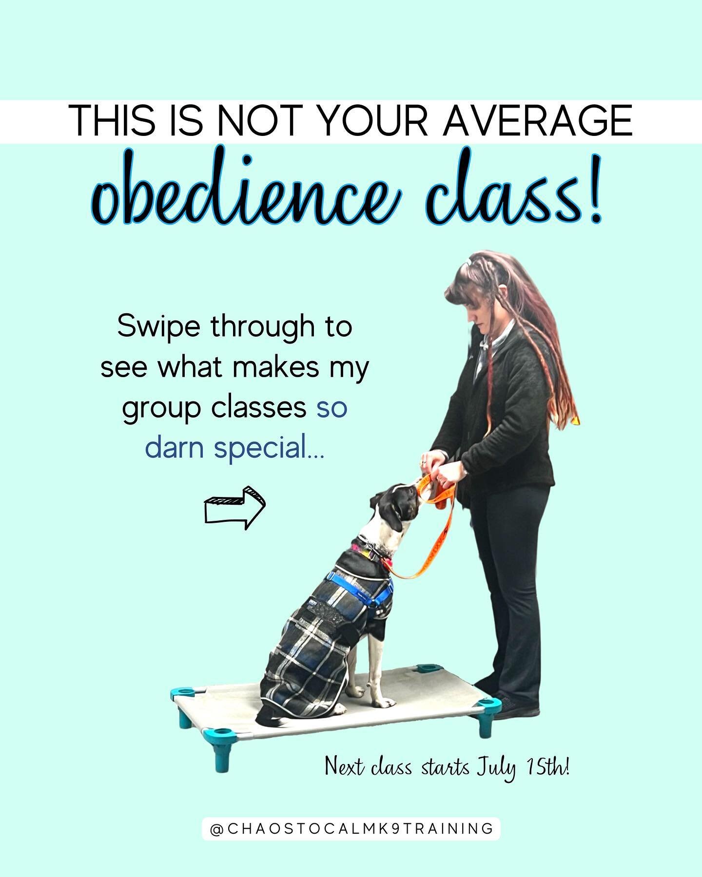 Don&rsquo;t sign up for a group class until you read this! 👇

If you&rsquo;re signing up for a group obedience class with your dog, make sure it has the following components:

👉PRACTICALITY!
Make sure the instruction is designed to transfer to real