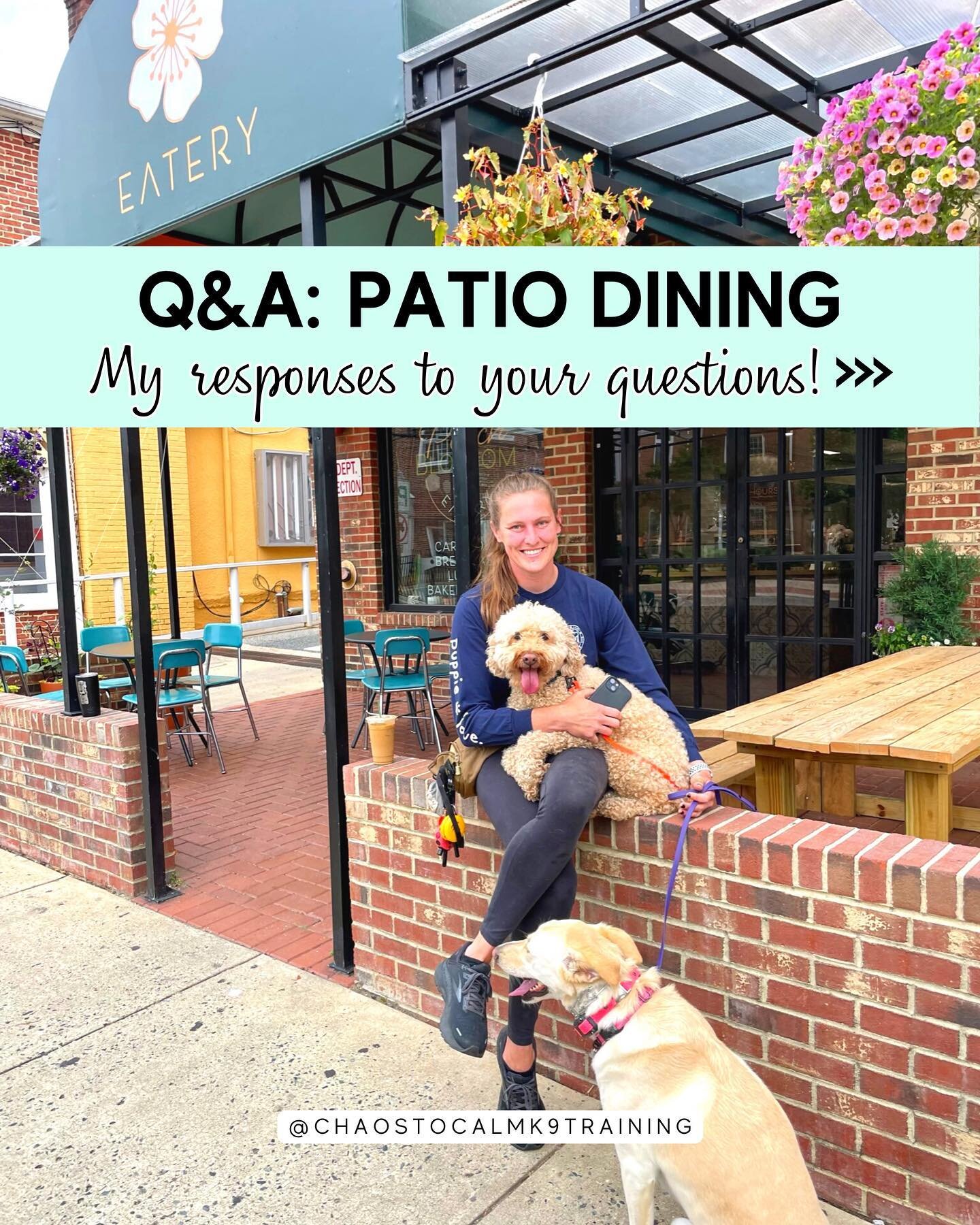 Swipe through for tips on dining out with your pups!

A few days ago in stories, I asked what questions you had about including your dog in patio dining.

This post shares your questions&hellip; and my answers!

My advice boils down to this:

✨Before
