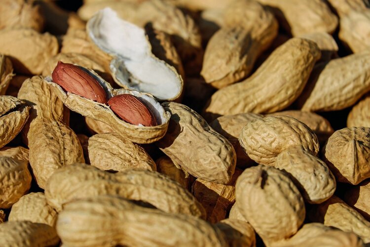 Peanut+food+allergy.jpg