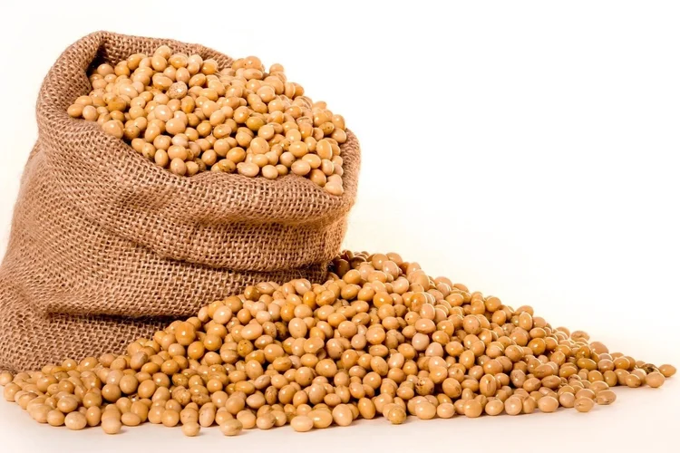 food allergen list, allergic reactions in people with food allergies, 8 most common allergenic food categories and ingredients, milk allergy, egg allergy, soy allergy, nut allergy, shellfish allergy, fish allergy, wheat allergy, peanut allergy