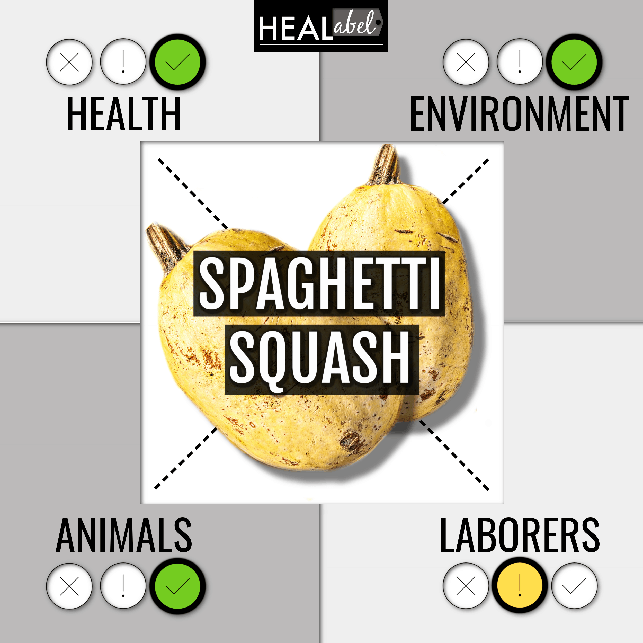 Is Spaghetti Squash Good Or Bad 22 Ingredient Guide For Health Environment Animals Laborers Healabel Is Spaghetti Squash Good Or Bad 22 Ingredient Guide For Health Environment Animals Laborers Healabel