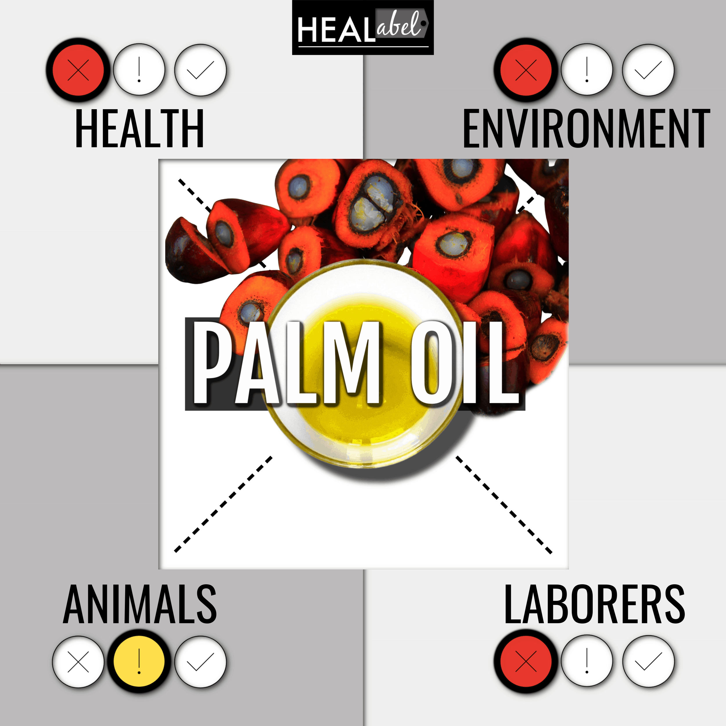 What Oil Does McDonald's Use In 2022? (Your Full Guide)