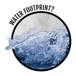 water footprint food.png