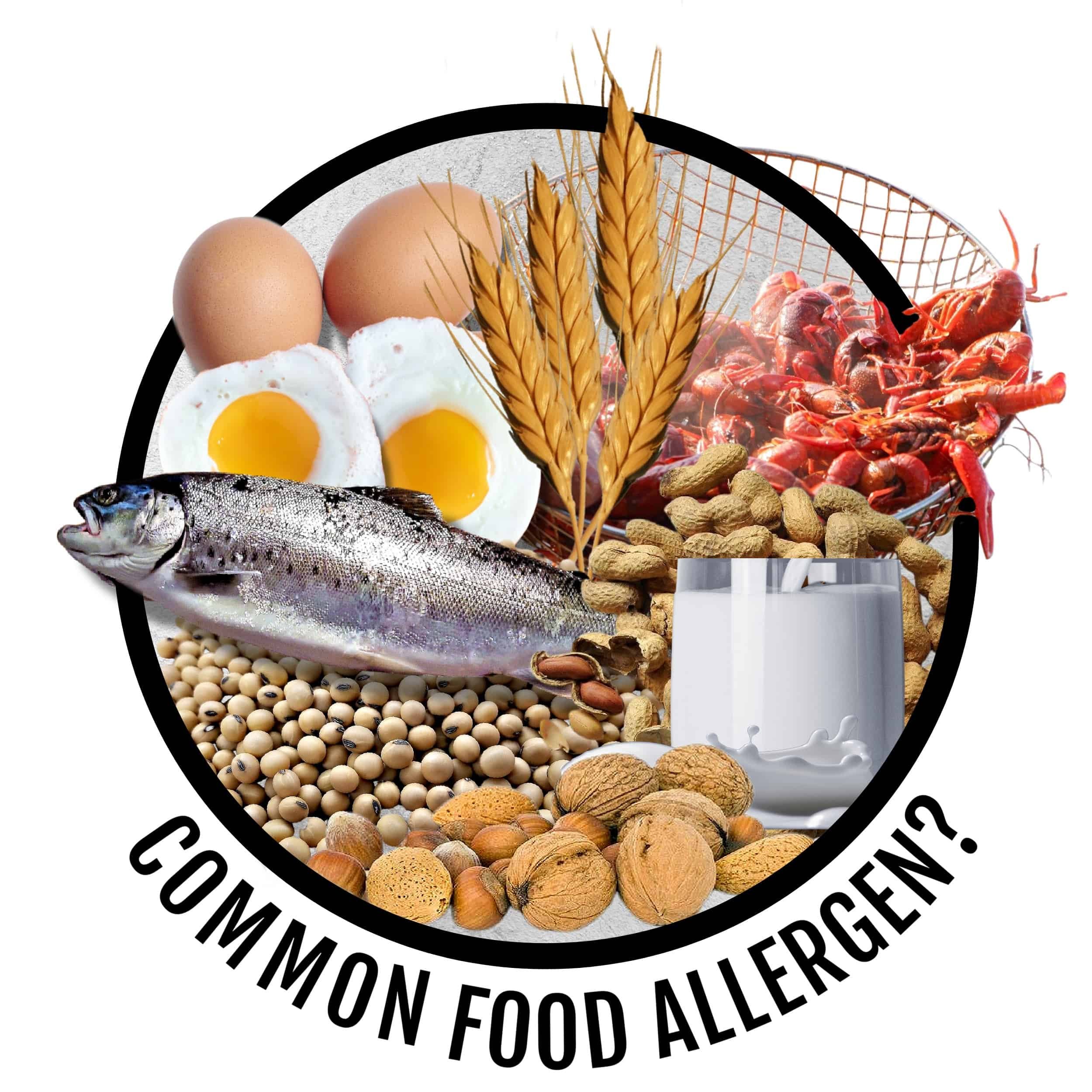 Food Allergy Symptoms And Types Vital Record