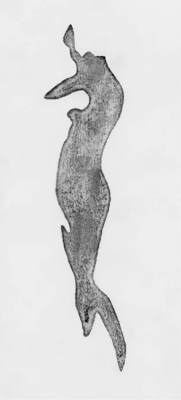   Figure IV , 2005 Ink on mylar 27.94 x 12.7 cm (11 x 5 in.) 