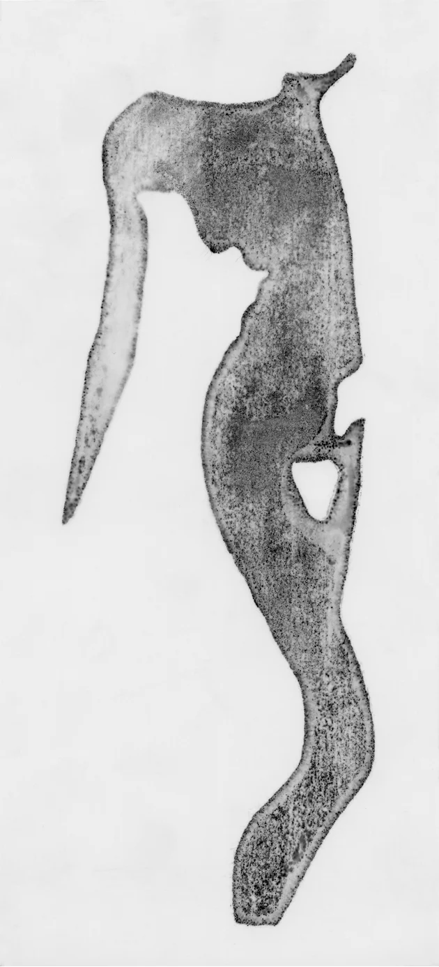   Figure X , 2005 Ink on mylar 27.94 x 12.7 cm (11 x 5 in.) 