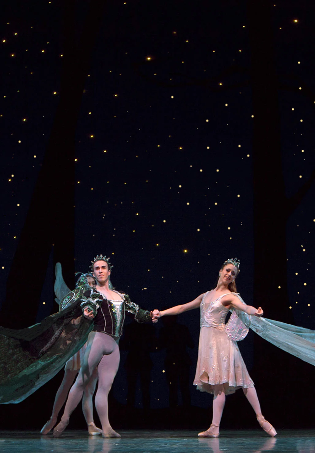 Introduction to Dance and Accessibility- Ticket Sales