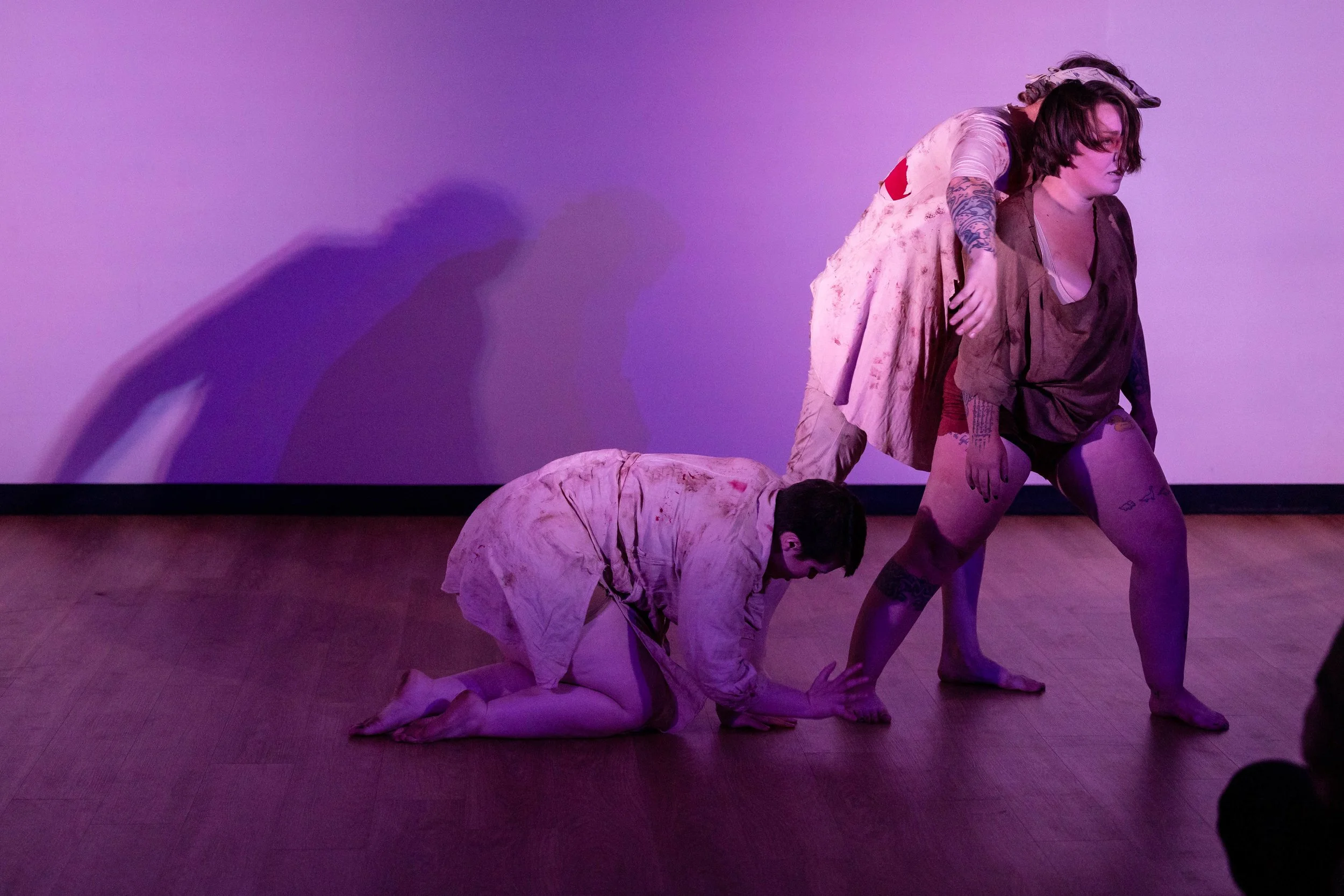 Vampyre : A Strange Fiction Dance Piece