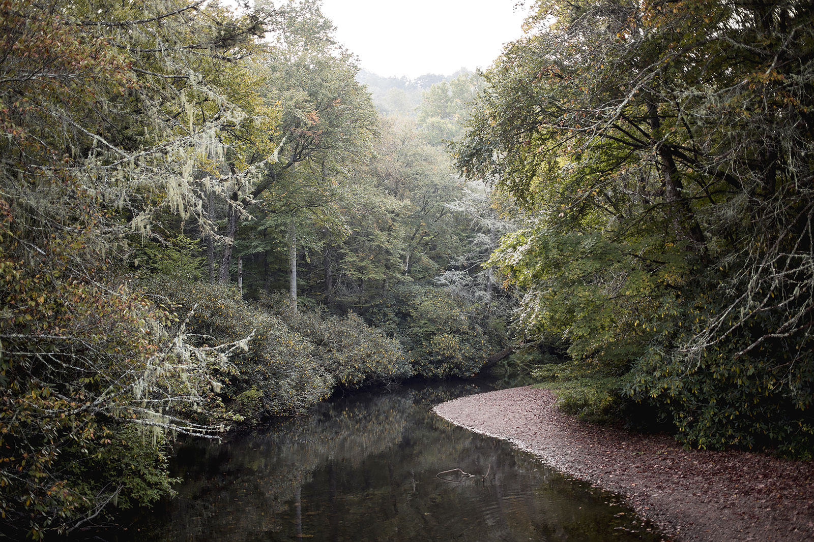 The Nantahala River flows near her headwaters in what is now known as Standing Indian Campground in the Nantahala National Forest. Old-timers remember it as White Oak Bottoms where a 1927 logging camp once grew. Old growth white oaks are clear-cut by the Ritter Lumber Company and milled in nearby Rainbow Springs to the tune of 50,000 board feet a day. “By 1940 … his ( W.M. Ritter ) company had already manufactured and sold three billion board feet of lumber — enough to comprise a solid train over 2,000 miles.” My pap-paw Pete Armes, the remaining living sibling of 13 brothers and sisters, remembers butchering hogs with his father and selling the cuts of pork from a mule-drawn wagon through the community that grew up around White Oak Bottoms. He can still remember the railroad tracks Ritter had put down to transport the lumber to the mill.