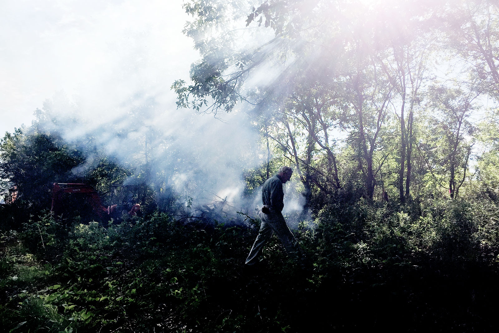 Smoke from cleared brush.