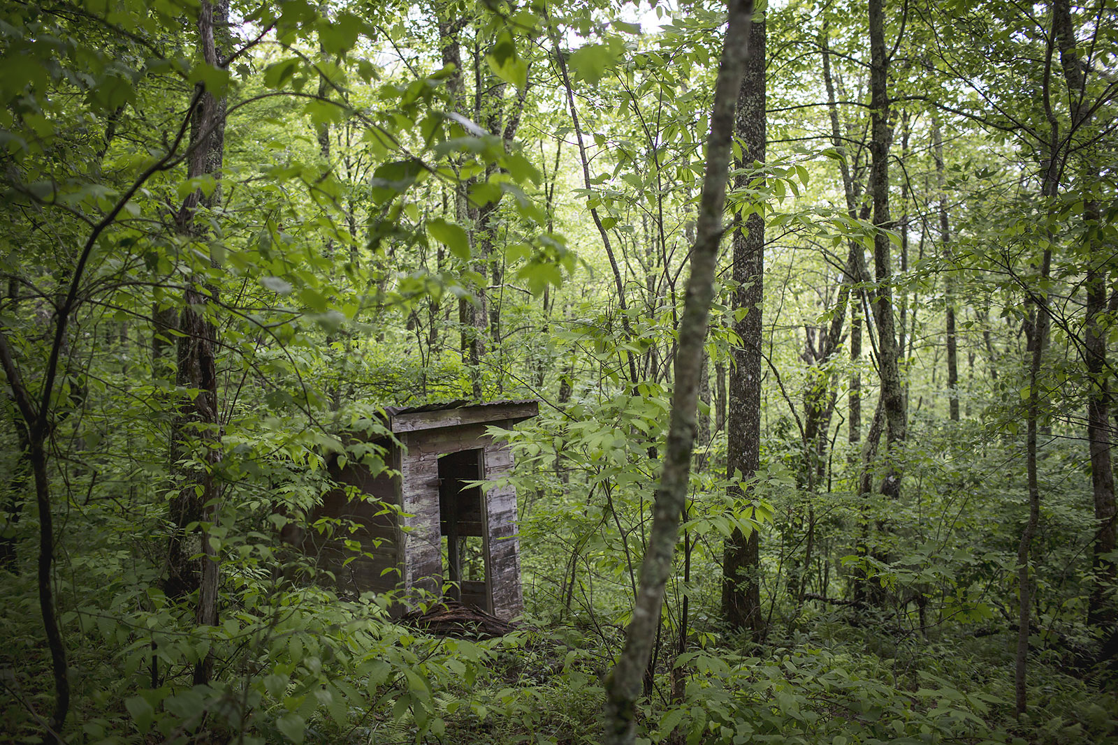 The outhouse for the historic Wilson Lick cabin, the first ranger station in the Nantahala National Forest.
