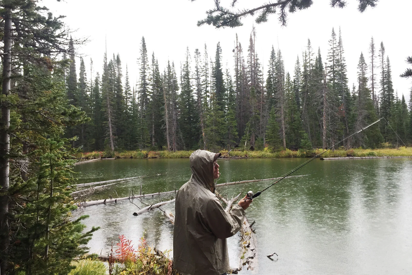 Same pond, still no fish.