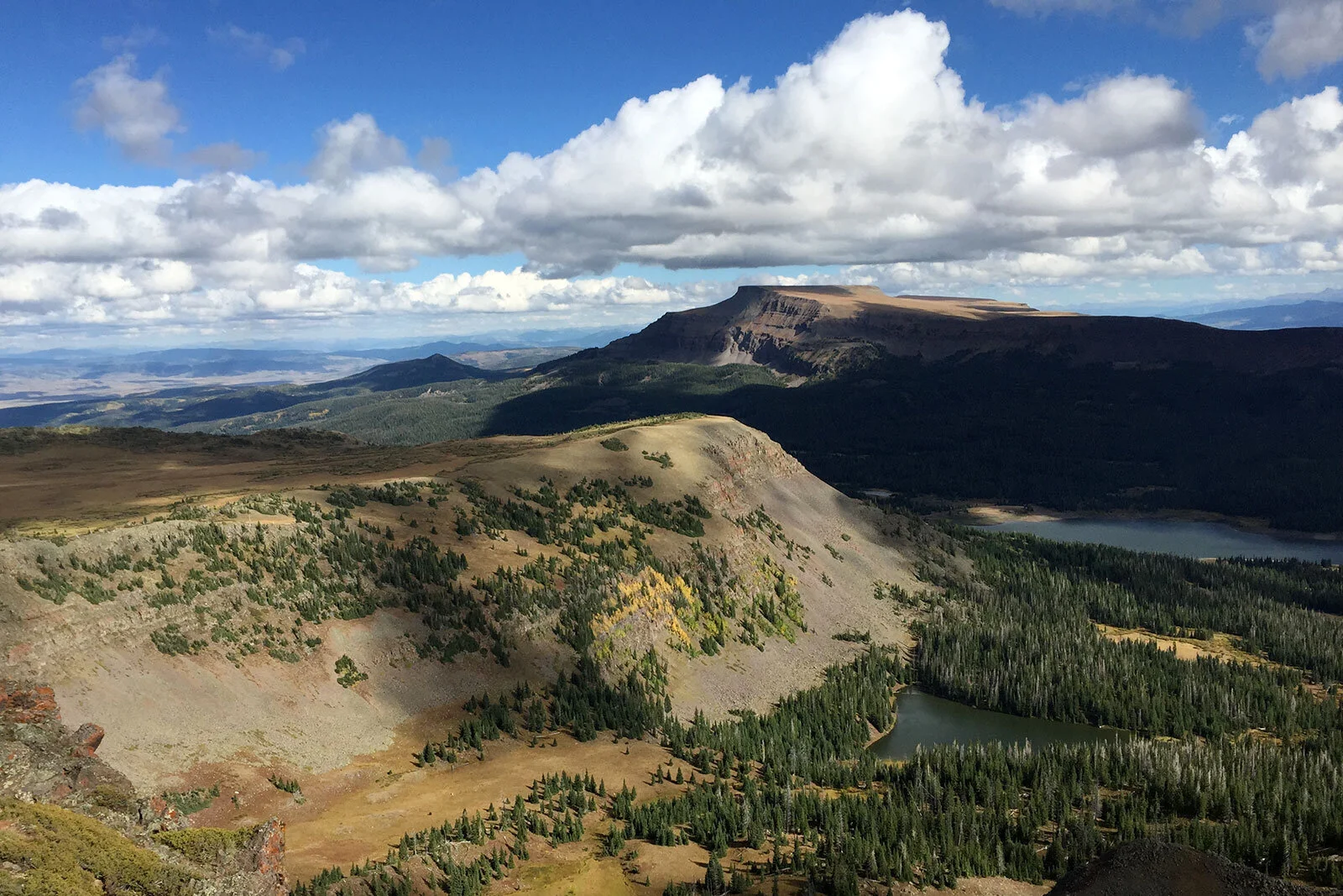 The view from the Devil’s Causeway stretches eternal.