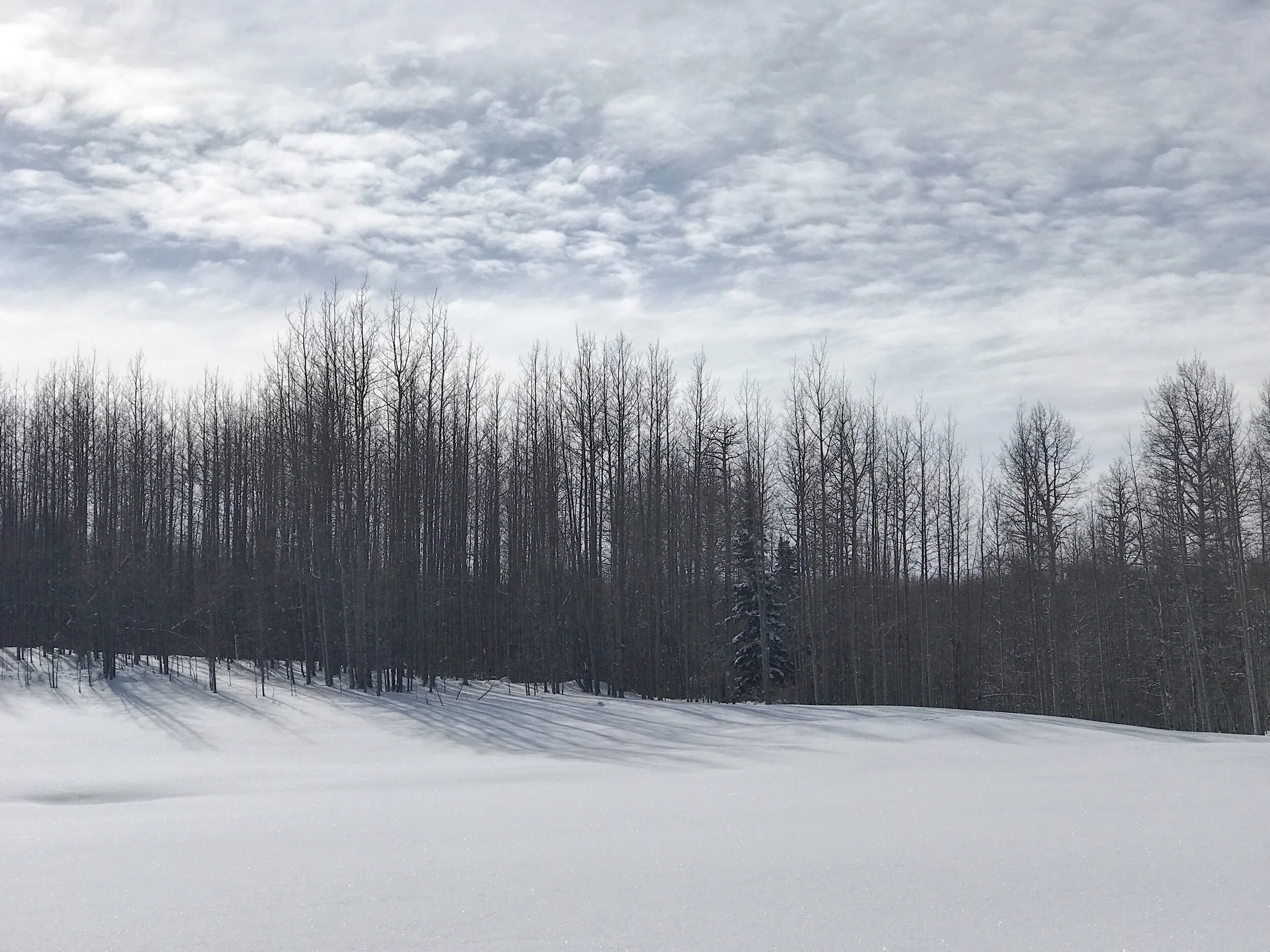 Garfield County, Colorado