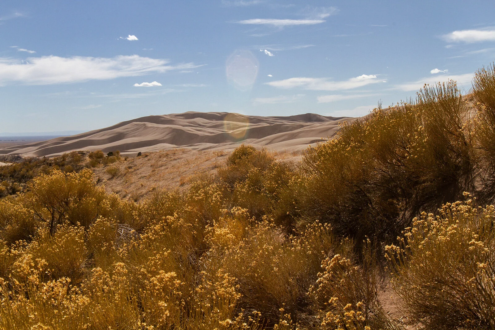 ARMES_SAND_DUNES_COLORADO_0004.jpg