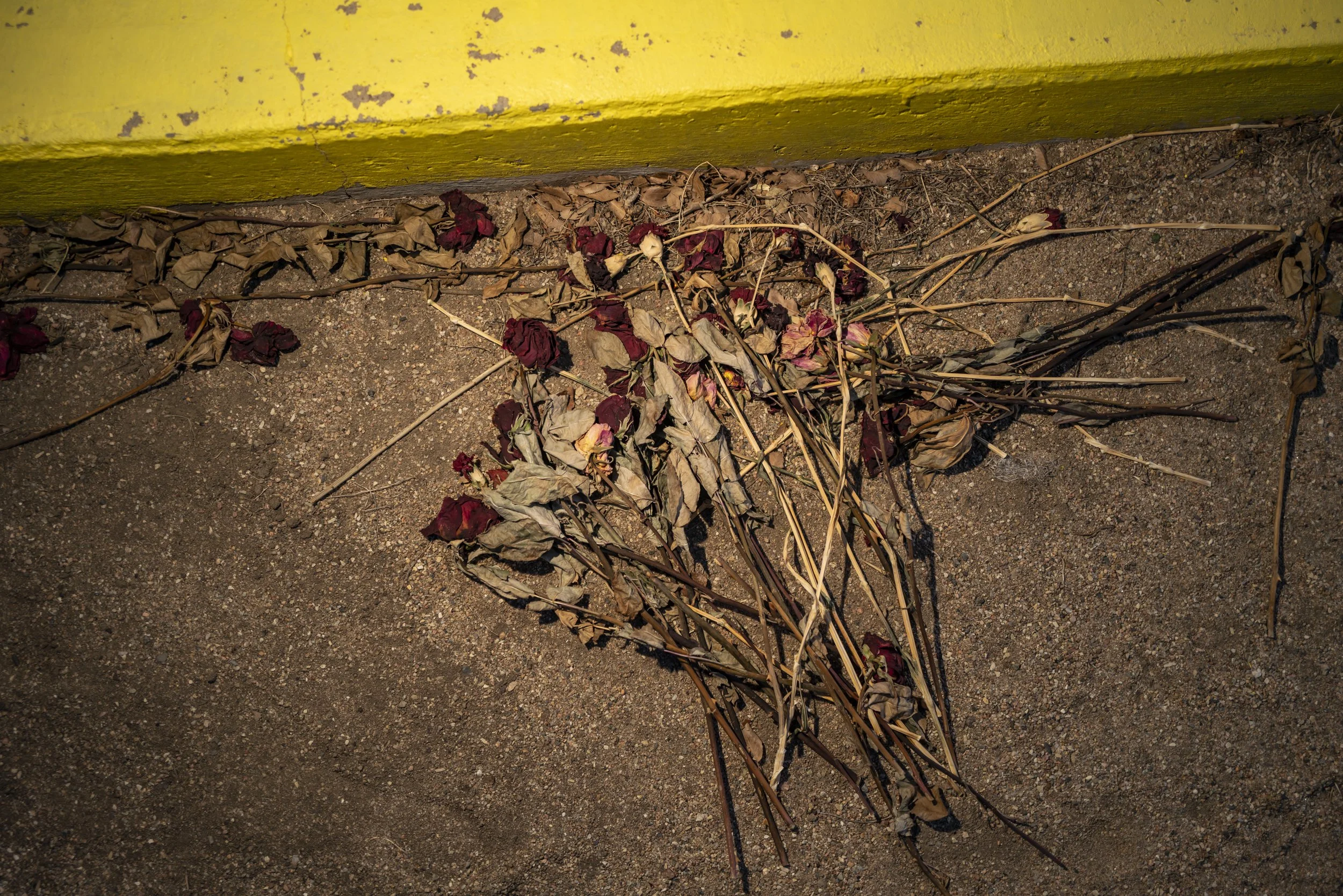 Memorial Flowers at Ludlow Massacre Site Colorado