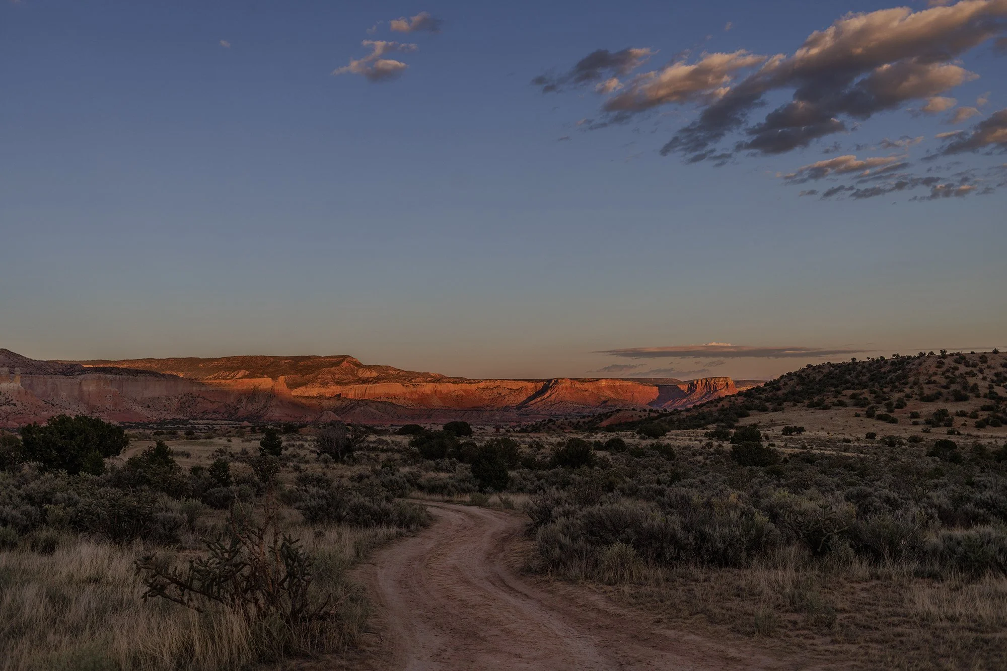   New Mexico