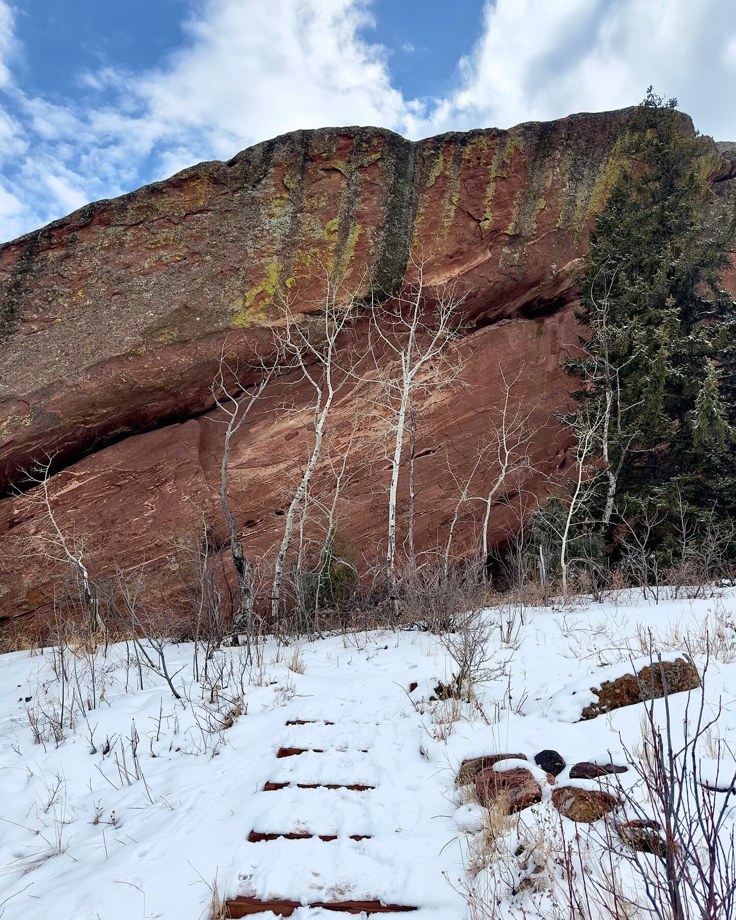 Geologic Overlook Trail with views 300 million years in the making, left from the formation of the Ancestral Rockies. Around 75 million years ago, our current ranges took shape.

Morrison, Colorado 

Forty-nine days until spring.