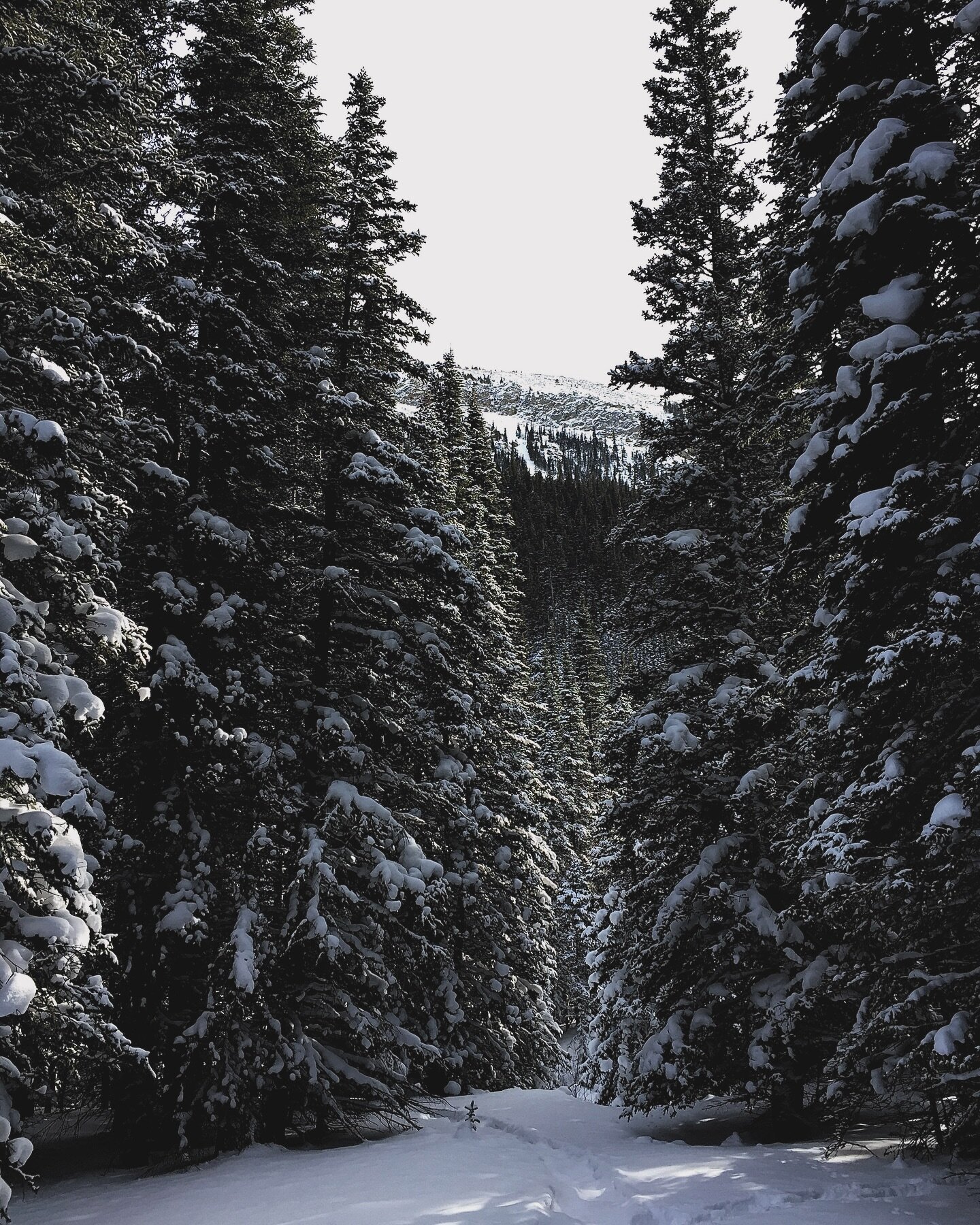 North of the confluence of Arapahoe and South Boulder Creek. 

James Peak Wilderness
Rollinsville, Colorado

Forty-eight days until spring.