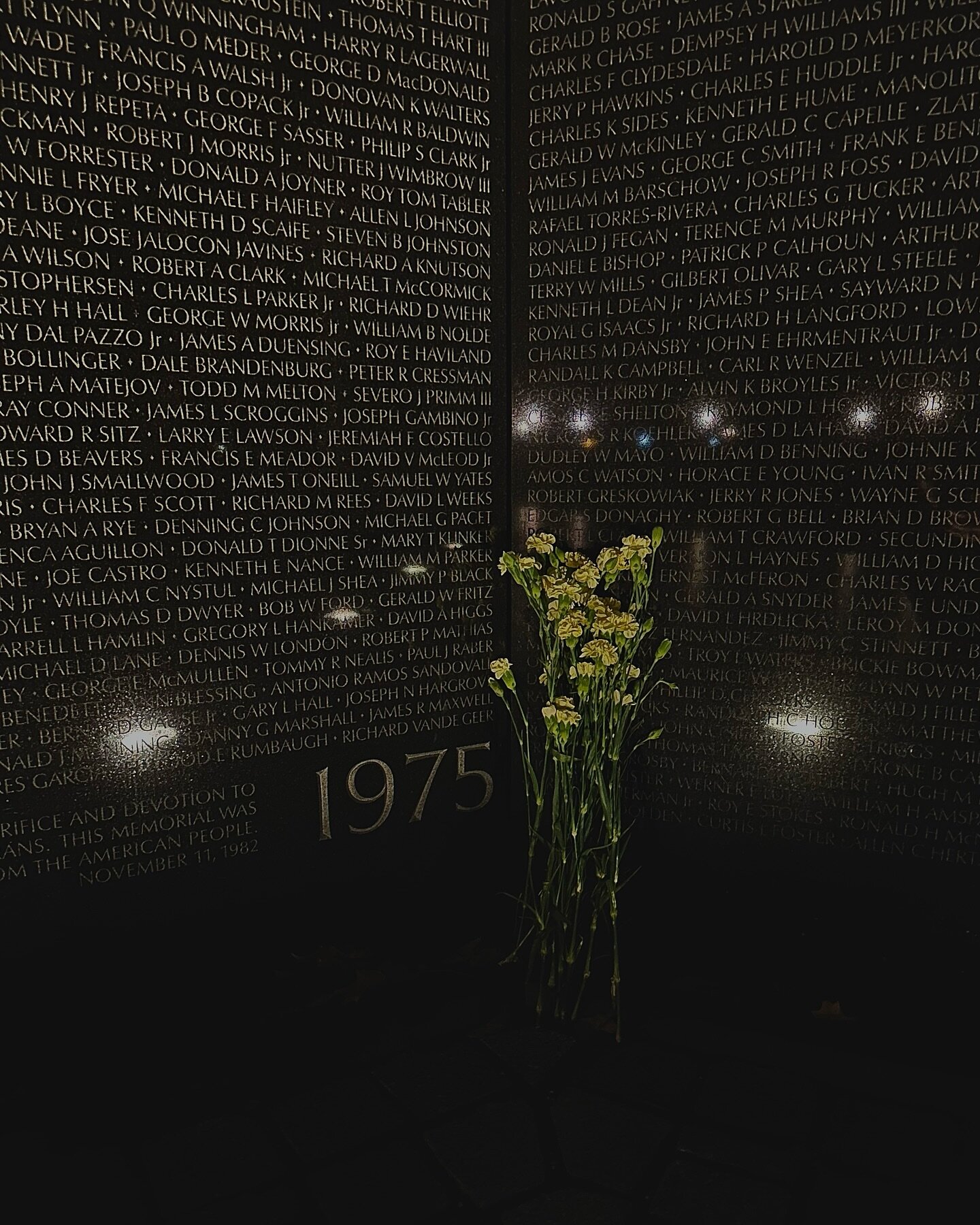 A bouquet of drying carnations mark 1975, the end of the Vietnam War and the 58,220 American lives lost.

Vietnam Veterans Memorial
Washington, DC

1935, 020123