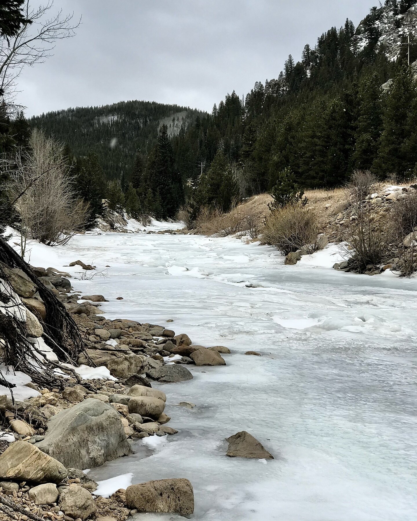 South Boulder Creek, a tributary of Boulder Creek parallels the Tolland Road.

Boulder County, Colorado

There are forty-two days until spring.