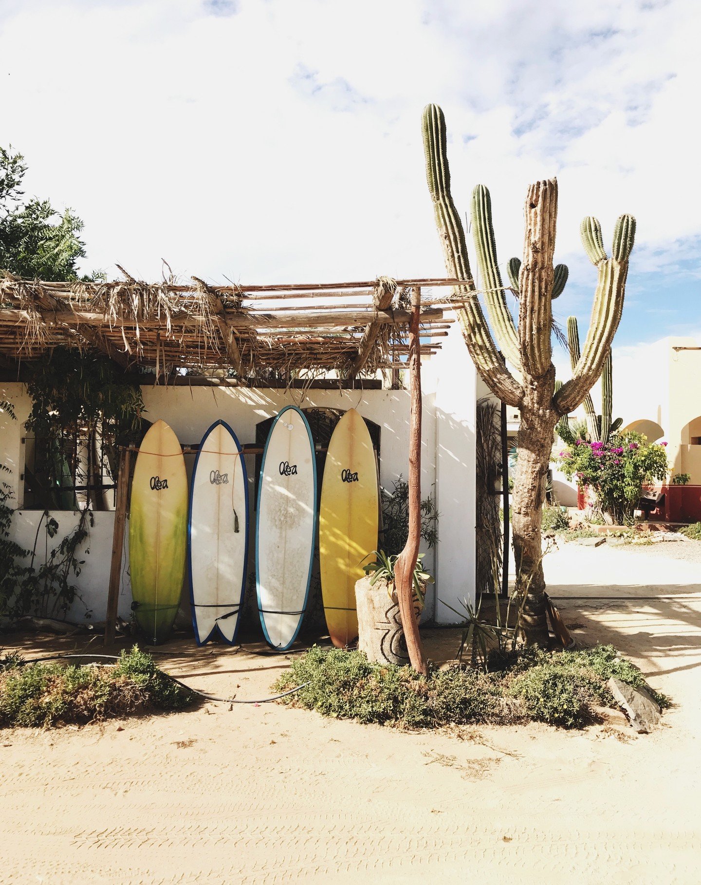Cold wind and snow reminds me of that one time in Mexico.