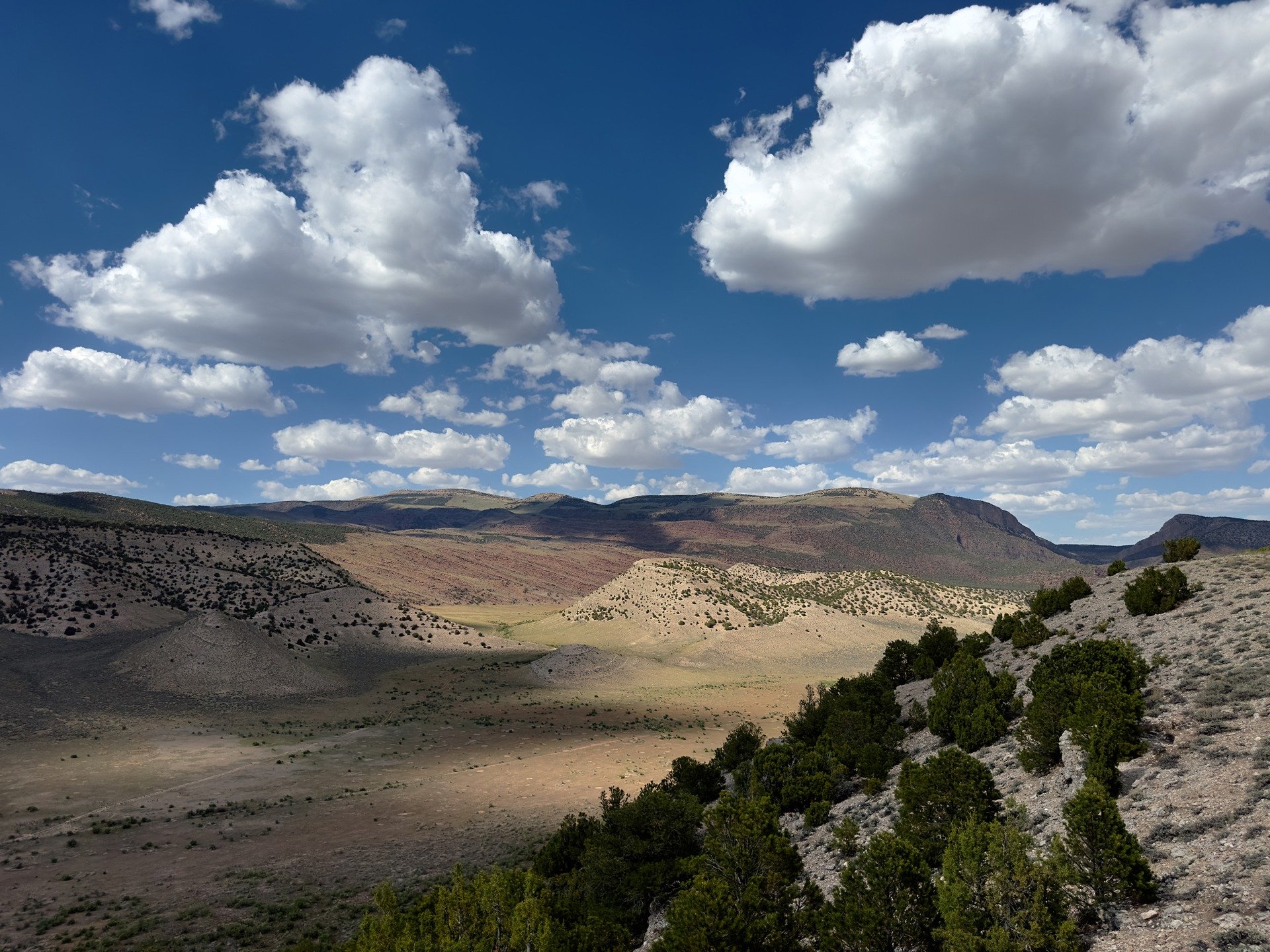 &ldquo;Freedom begins between the ears.&rdquo;

― Edward Abbey

Exercising our independent minds with a curiosity about the world, questioning authority, and showing courage to challenge the norm, is where absolute freedom begins.

Moffett County, Co