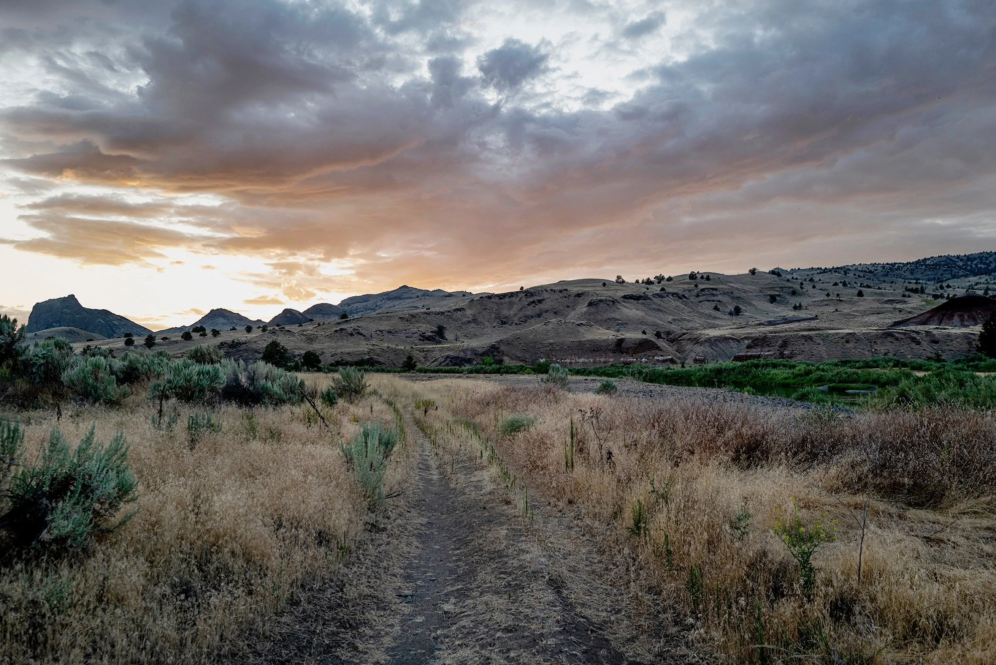 Bear Dogs &amp; Shifting Climates, 2 of 4

The John Day Formation, which formed from the Late Eocene to the Miocene, 39 to 18 million years ago, preserved a rich record of mammal evolution in North America. It was a time of dramatic climate change, f