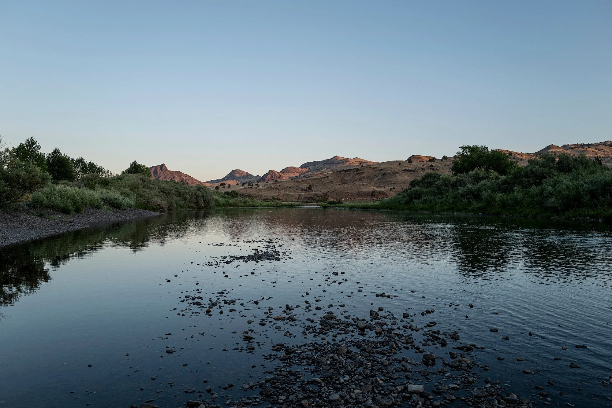 Nature Favors Entropy, 4 of 4

By morning, the encounter with the coyote is still in my dreams as I pack up camp, slam doors and greet the day with tires on the hardpack gravel road. 

Back to reality, where nature has no preference. Left to themselv