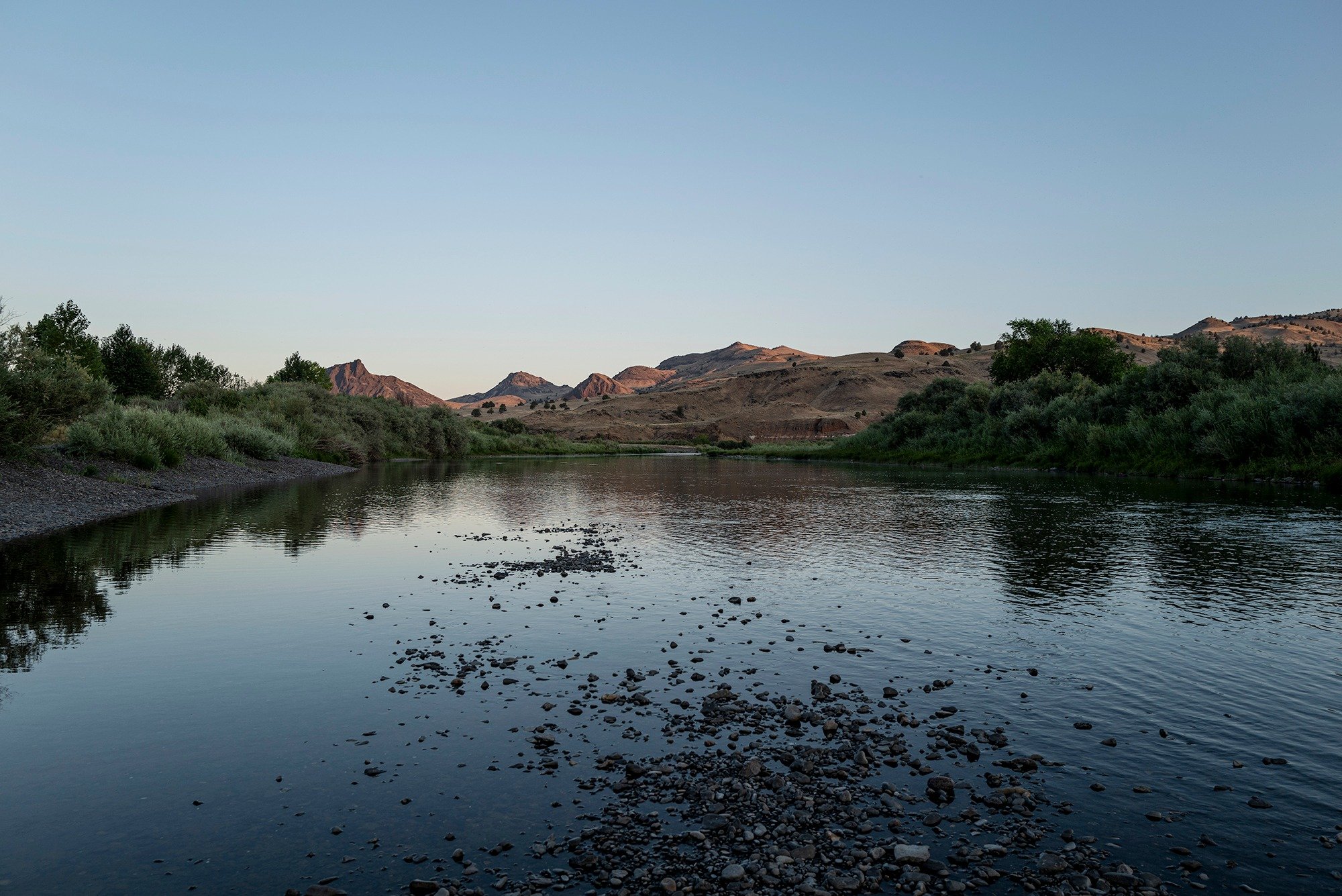 Nature Favors Entropy, 4 of 4

By morning, the encounter with the coyote is still in my dreams as I pack up camp, slam doors and greet the day with tires on the hardpack gravel road. 

Back to reality, where nature has no preference. Left to themselv