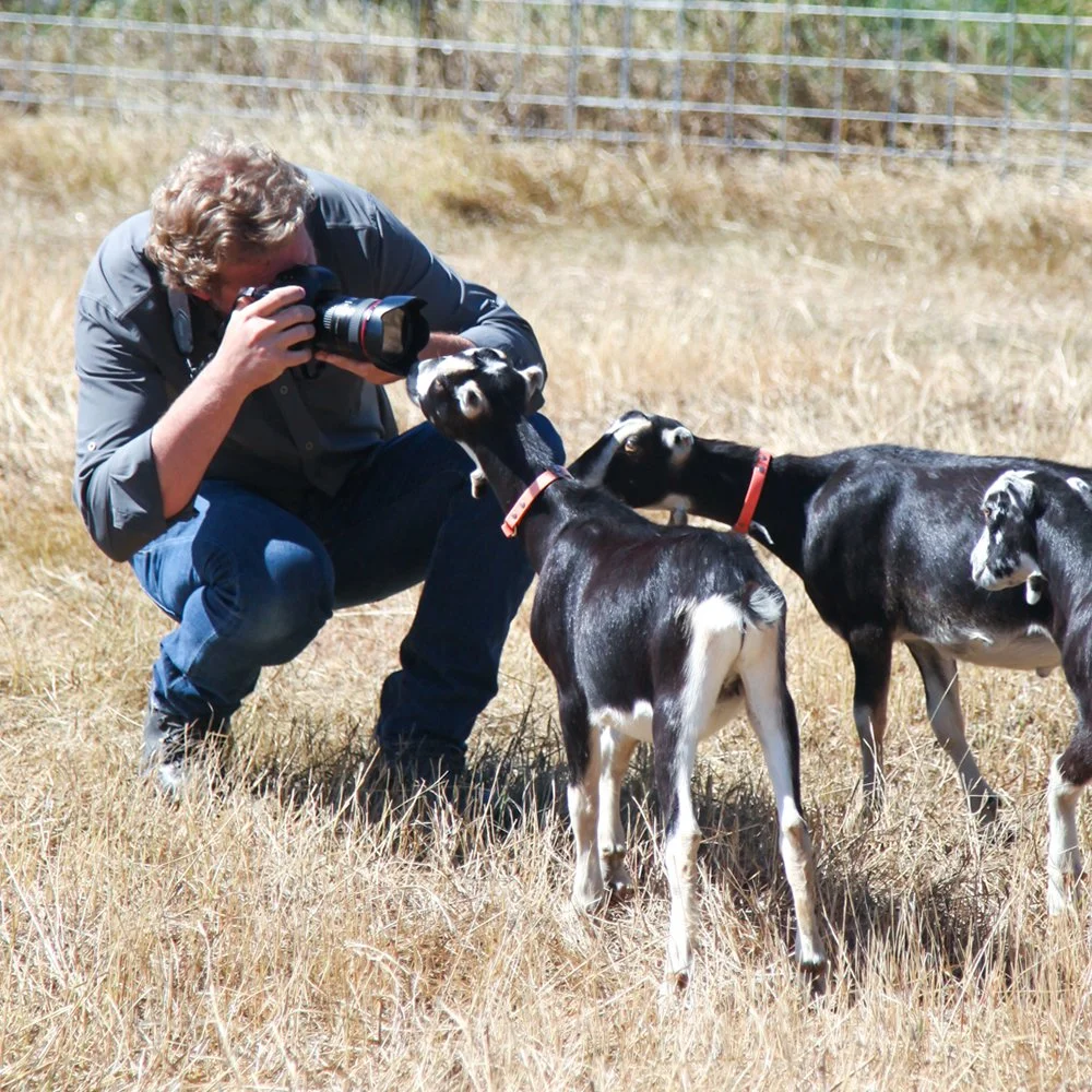 Colorado-based photographer Nathan W. Armes crouches in a grassy field capturing close-up shots of three curious black and white goats.