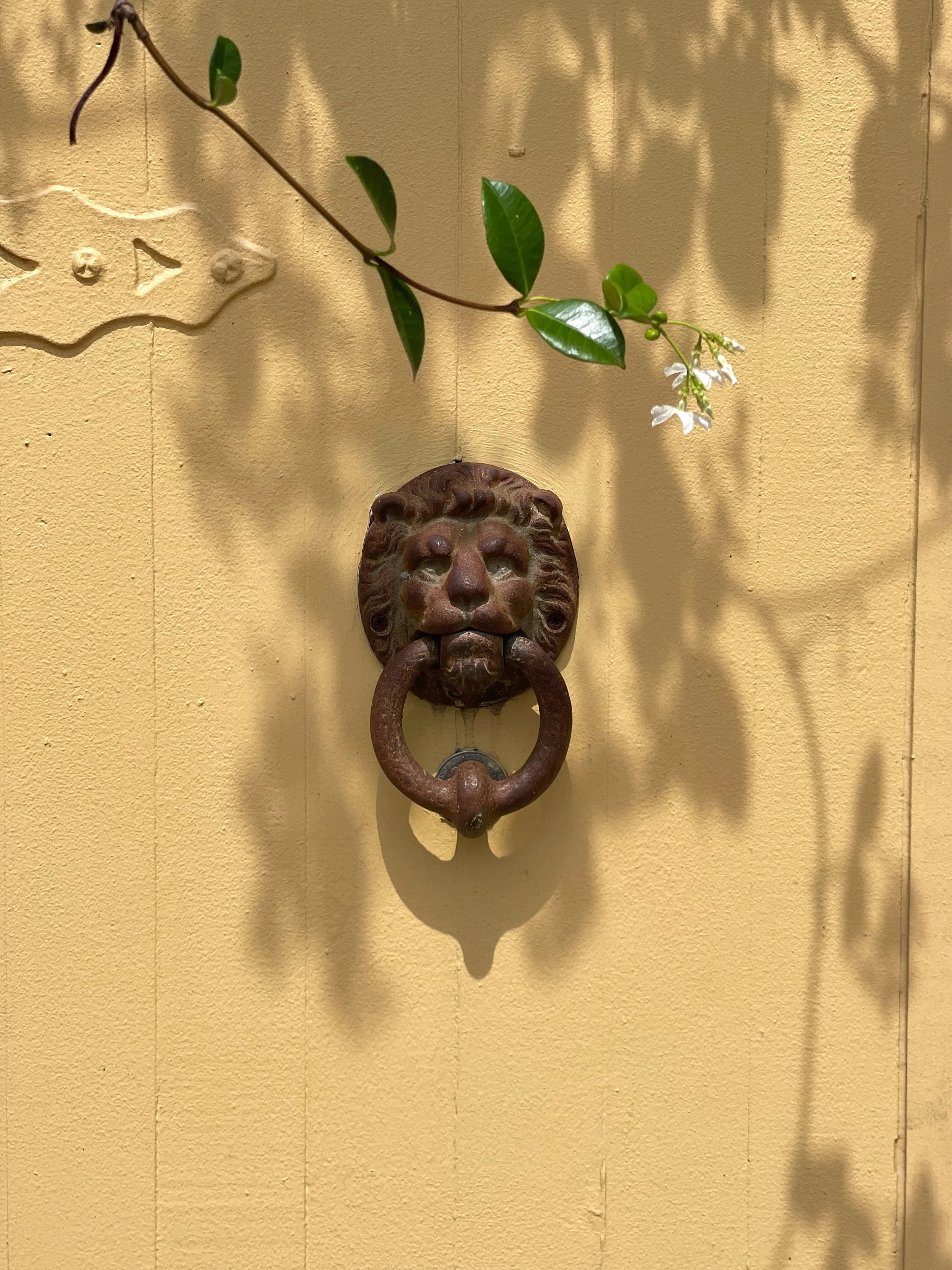 Jasmine On Burgundy Street