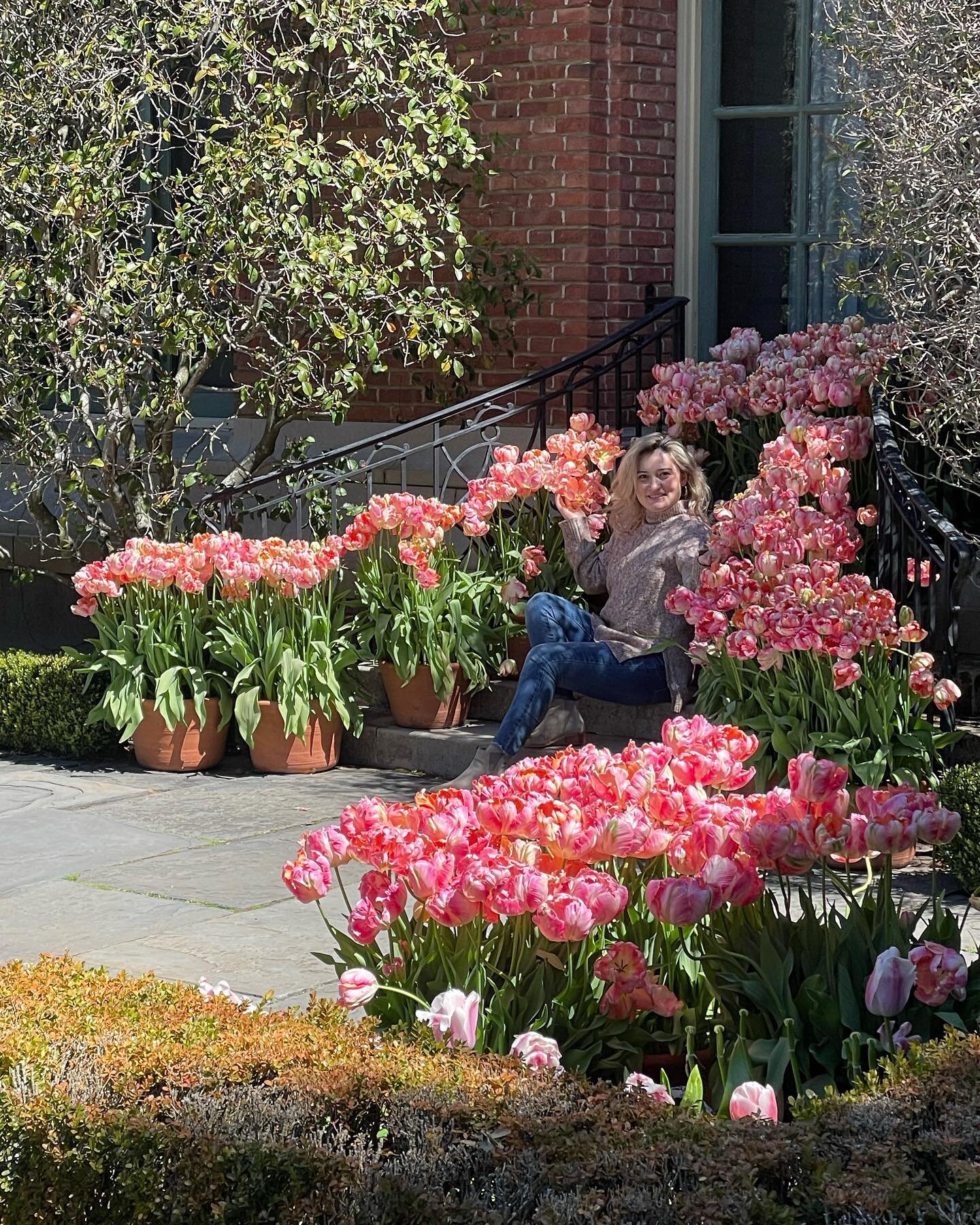 Annual spring visit 🌷 

#filoligarden #filolihouse #filoli #woodside #tulips #garden #flowers #flowerstagram #tulips🌷 #northcalifornia #norcal #siliconvalley #sfbayarea