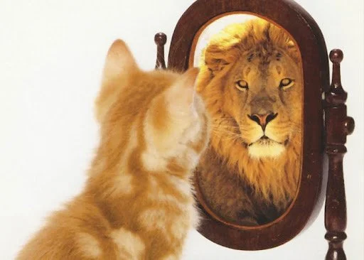 166: Stop Negotiating with Yourself