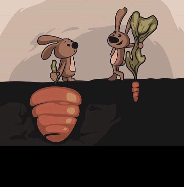 280: The Art of Comparison