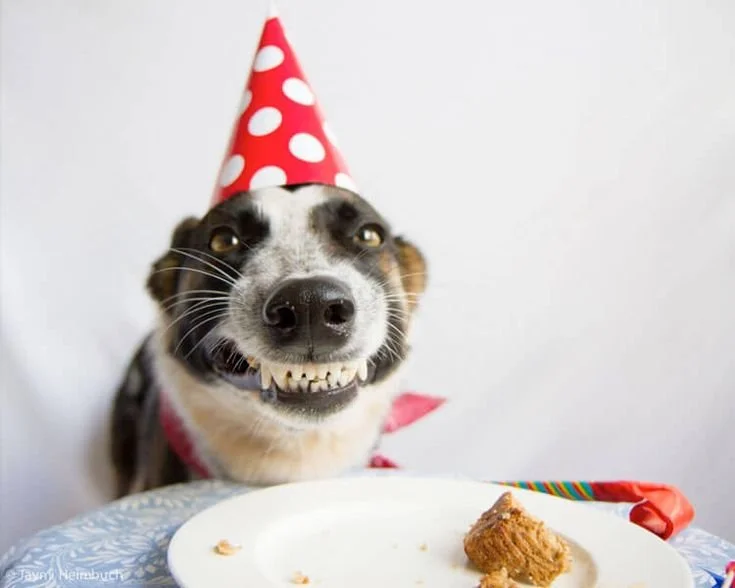 326: Go Shawty, It's Ya Birthday!